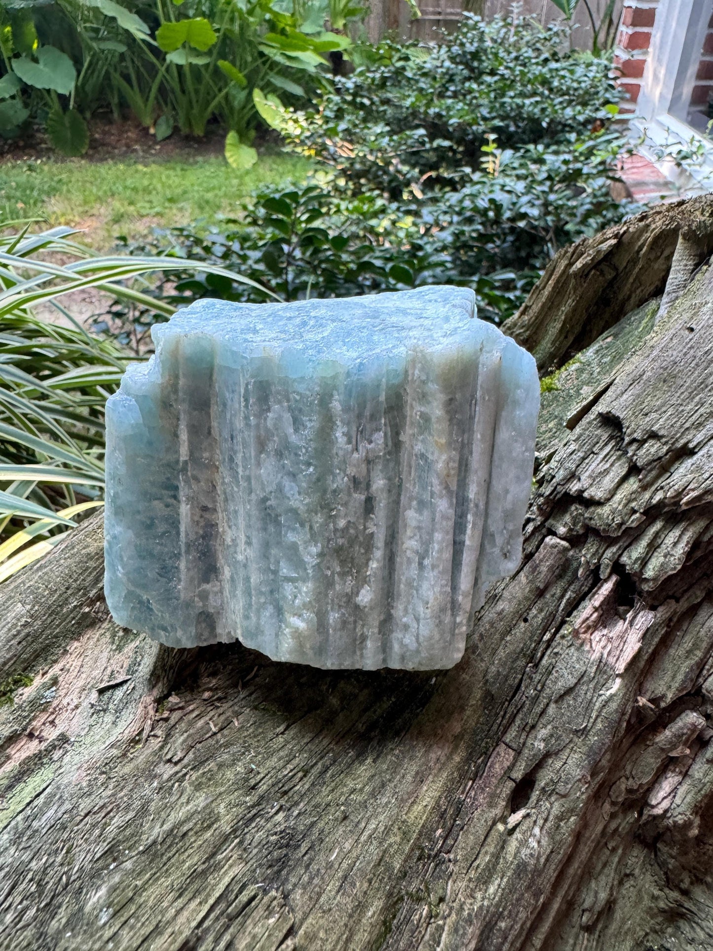 Aquamarine/Beryl Crystal from Minas Gerais Brazil 794g 1lb 12oz Specimen Mineral Crystal