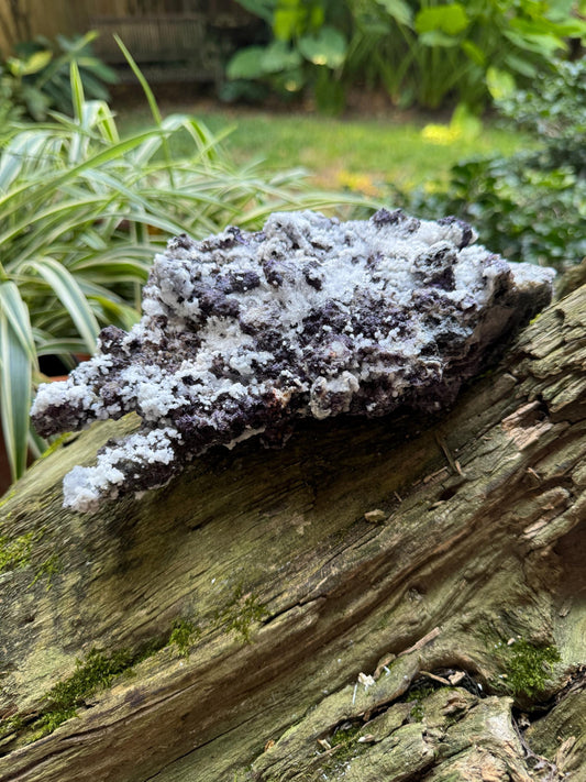 Purple Fluorite and Selenite Specimen from, Chihuahna, Mexico 1314g 2lbs 14.4oz Specimen Mineral Crystal
