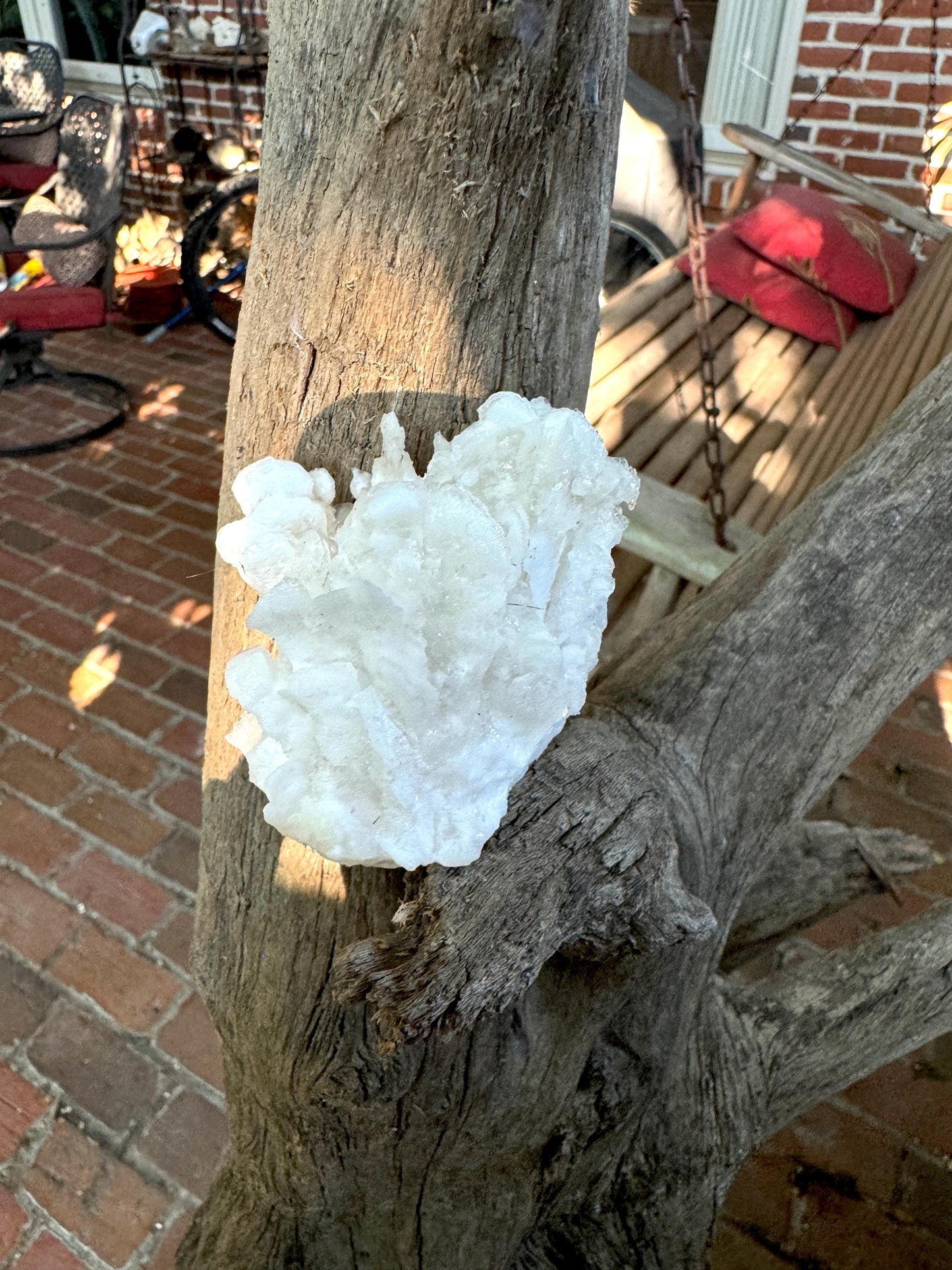 Aragonite Cave Calcite From Mexico 79.6g Specimen Crystals Minerals