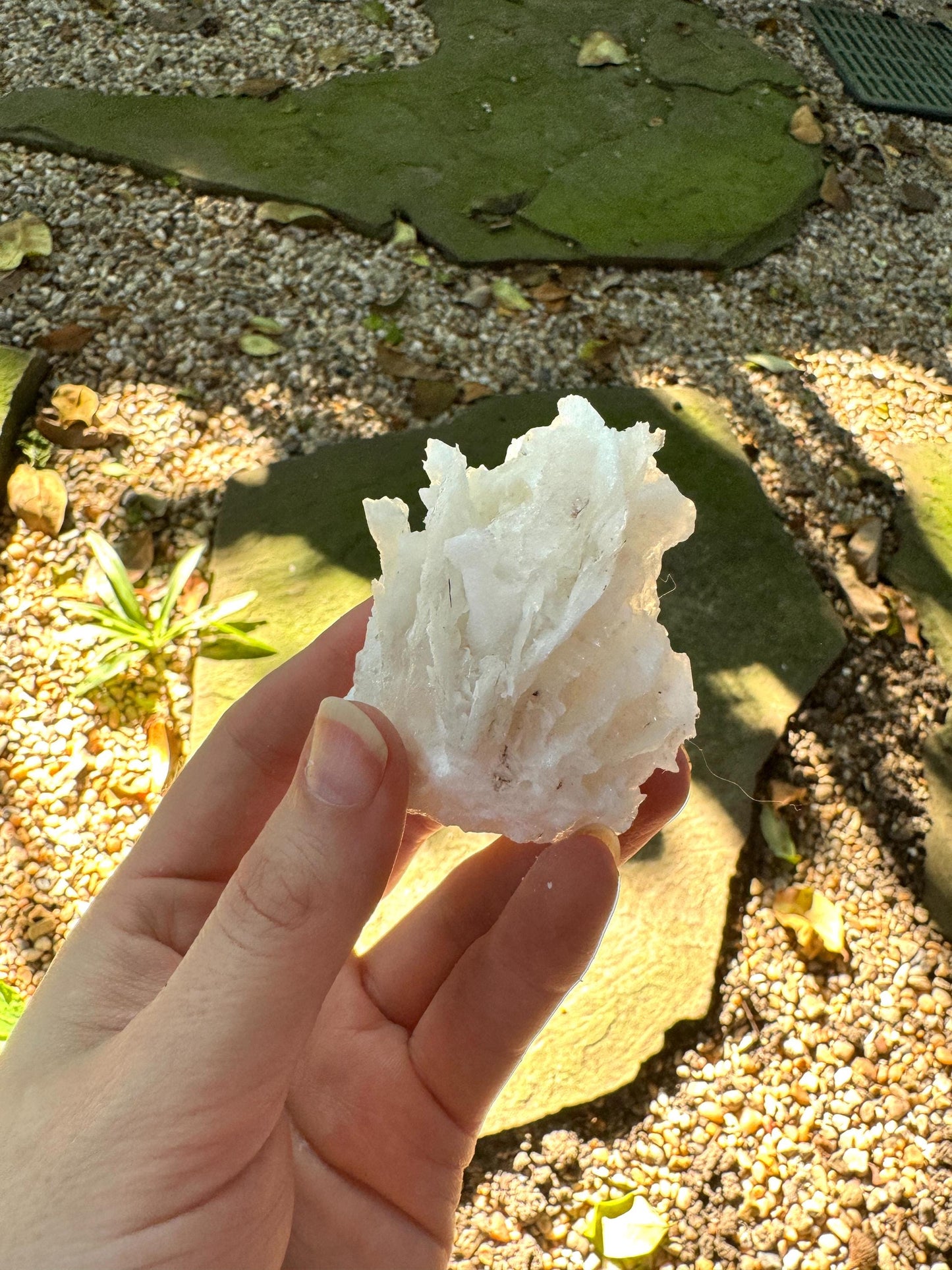 Aragonite Cave Calcite From Mexico 79.6g Specimen Crystals Minerals