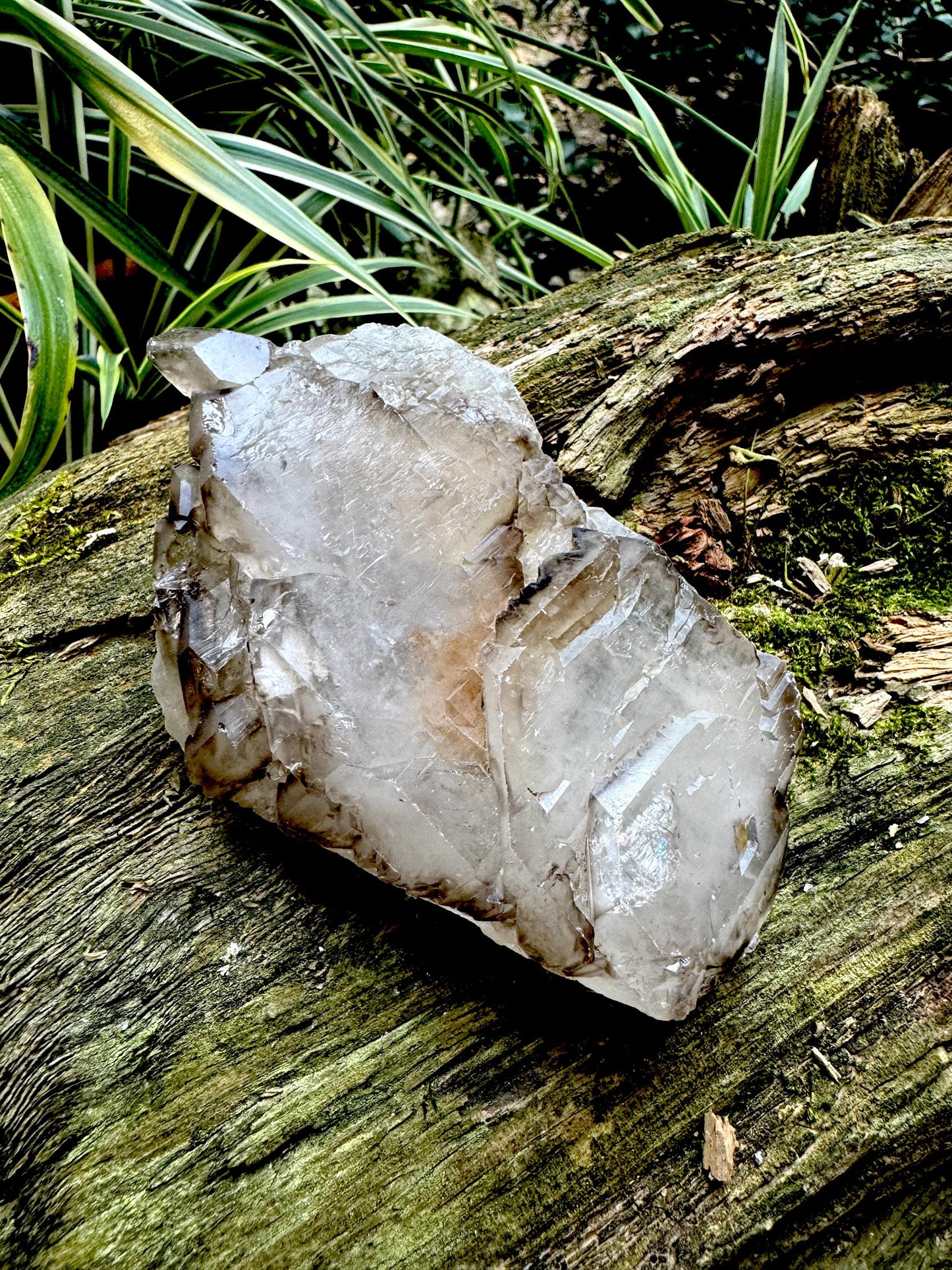 Smokey Elesital Quartz Specimen from Minas Gerais Brazil, 188.9g Mineral Crystal