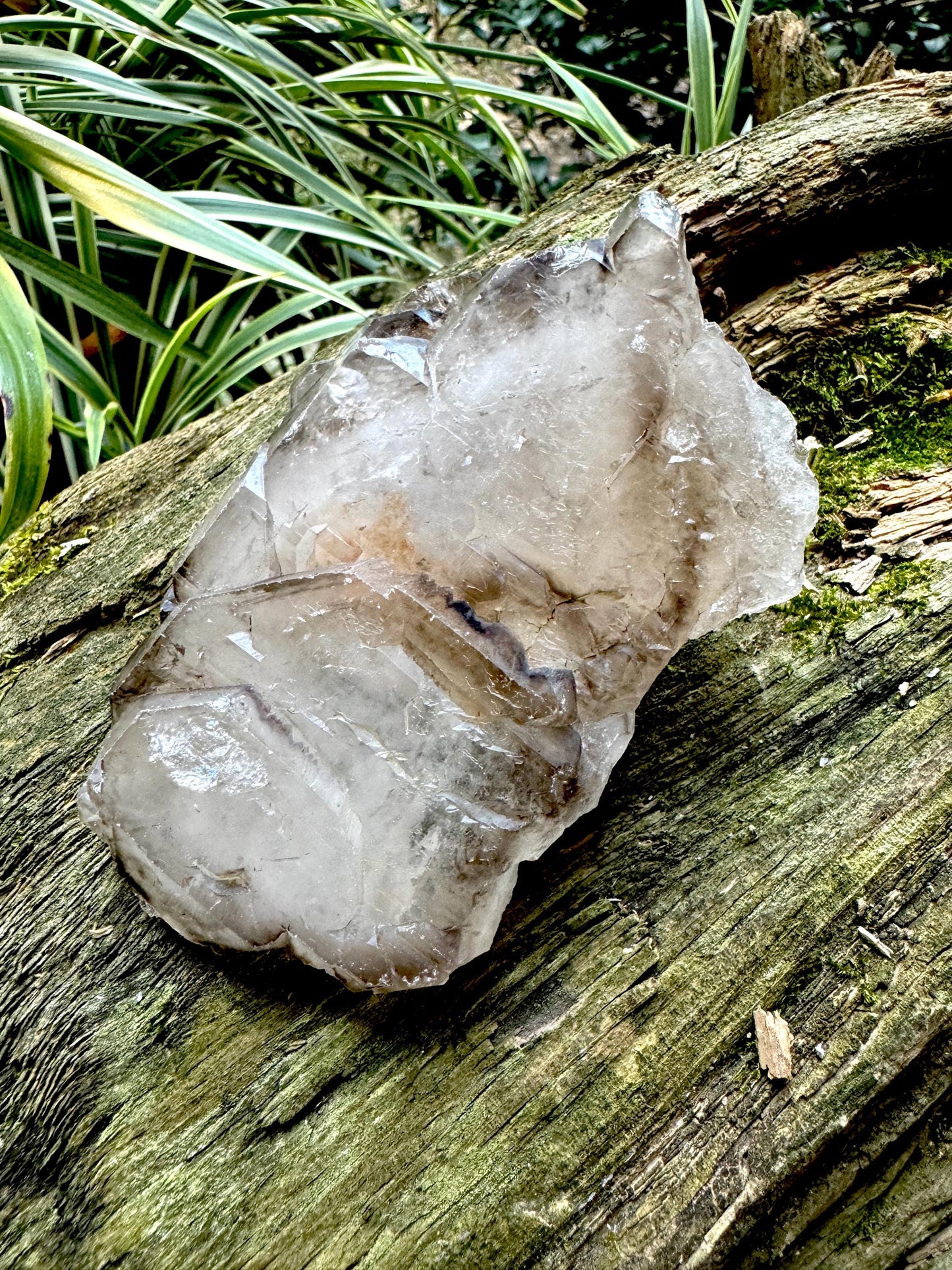 Smokey Elesital Quartz Specimen from Minas Gerais Brazil, 188.9g Mineral Crystal