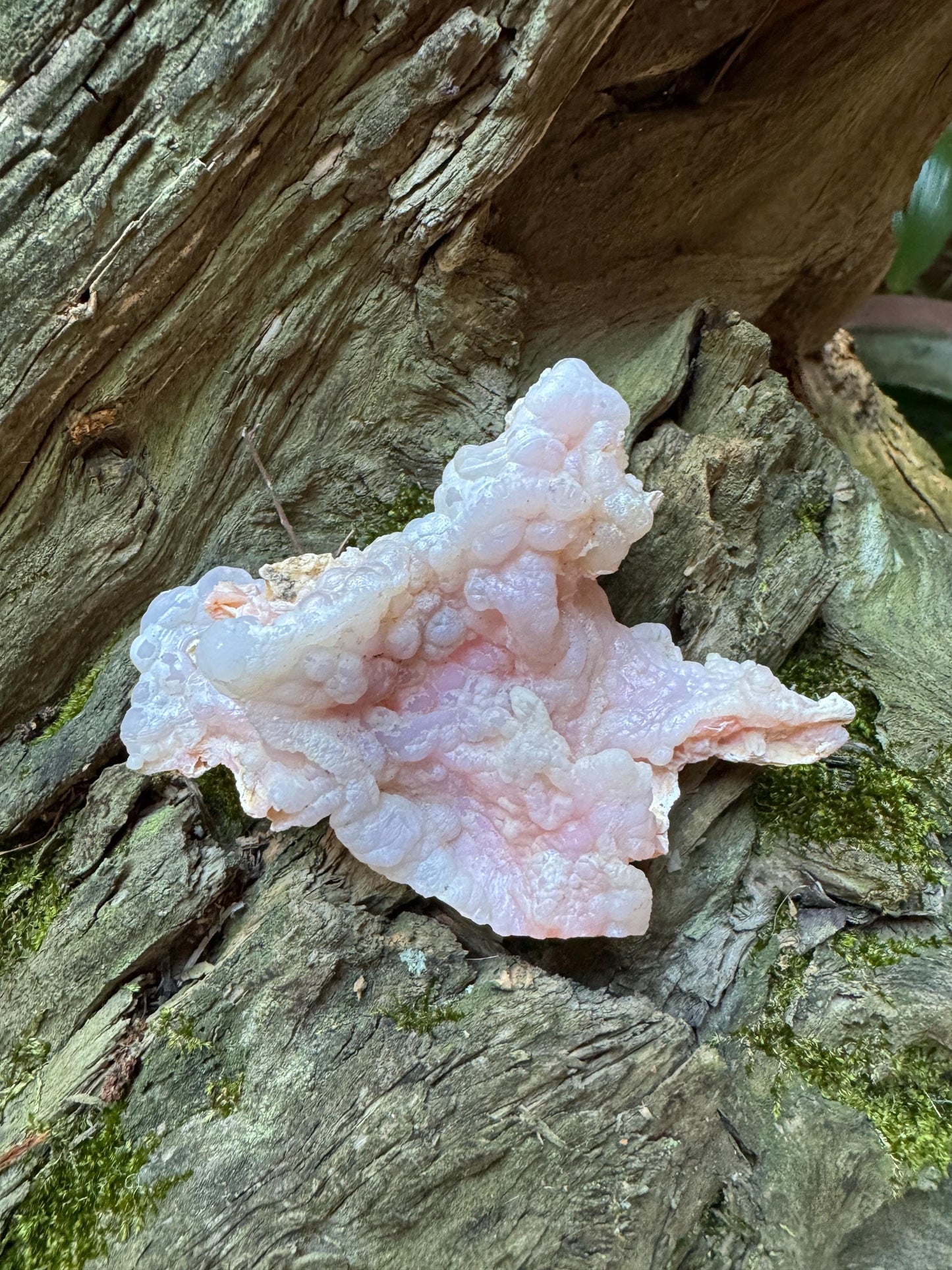 Pink Opal Specimen: Botryoidal Crystal from Ica, Peru 83.2g