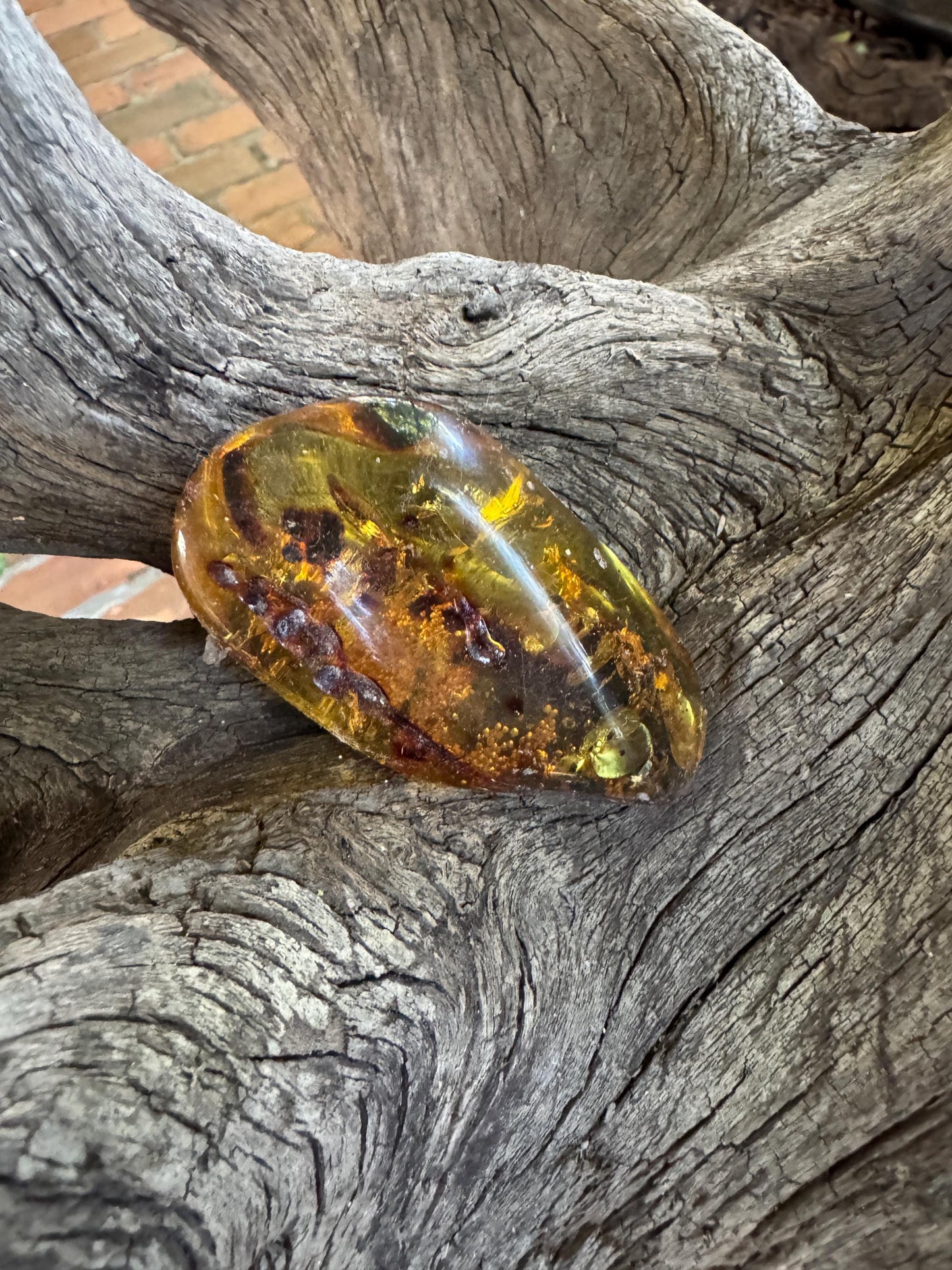 Polished Mexican Blue Amber Specimen from Chiapas Mexico 33.4g Mineral Crystal Fossil
