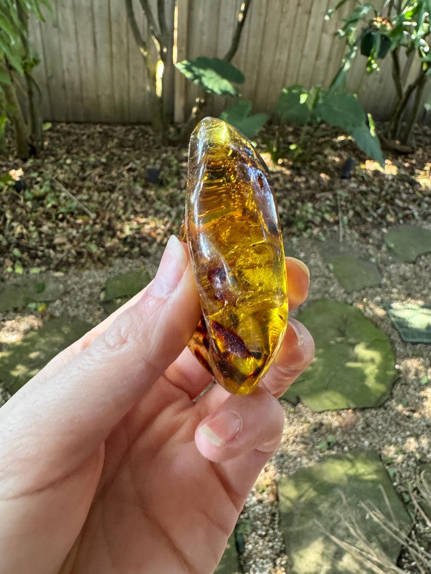 Polished Mexican Blue Amber Specimen from Chiapas Mexico 33.4g Mineral Crystal Fossil
