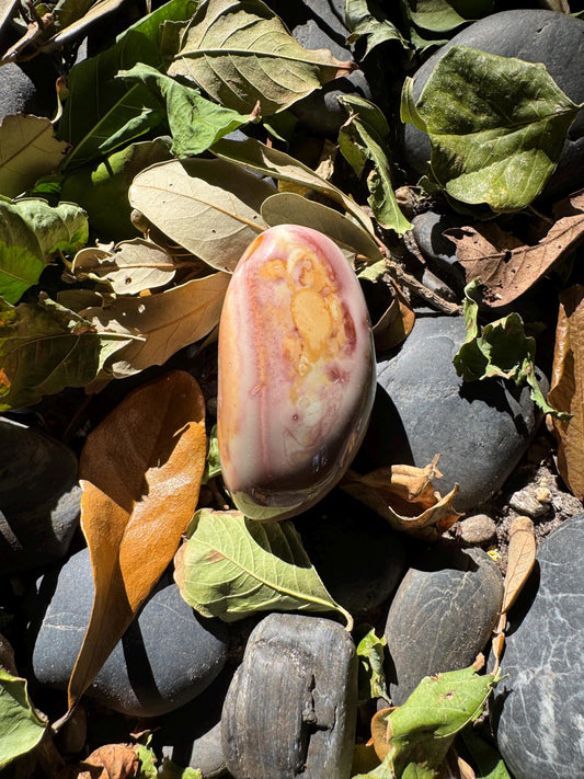 Polychrome Jasper Palm Stone: Madagascar Specimen, 166.8g Mineral