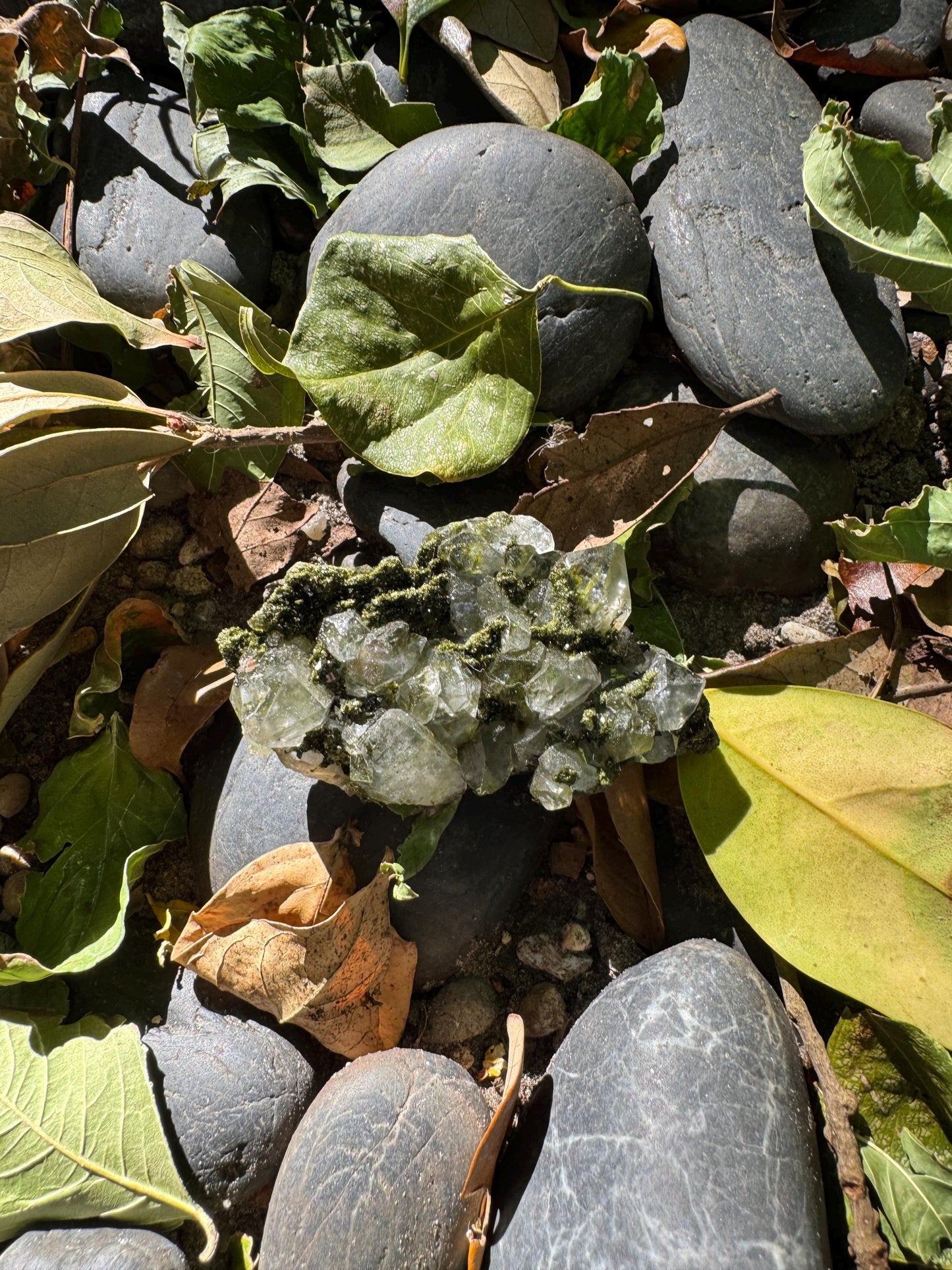 Epidote and Quartz Raw Crystal Specimen 61.7g, From Hakkari, Turkey Mineral Crystal