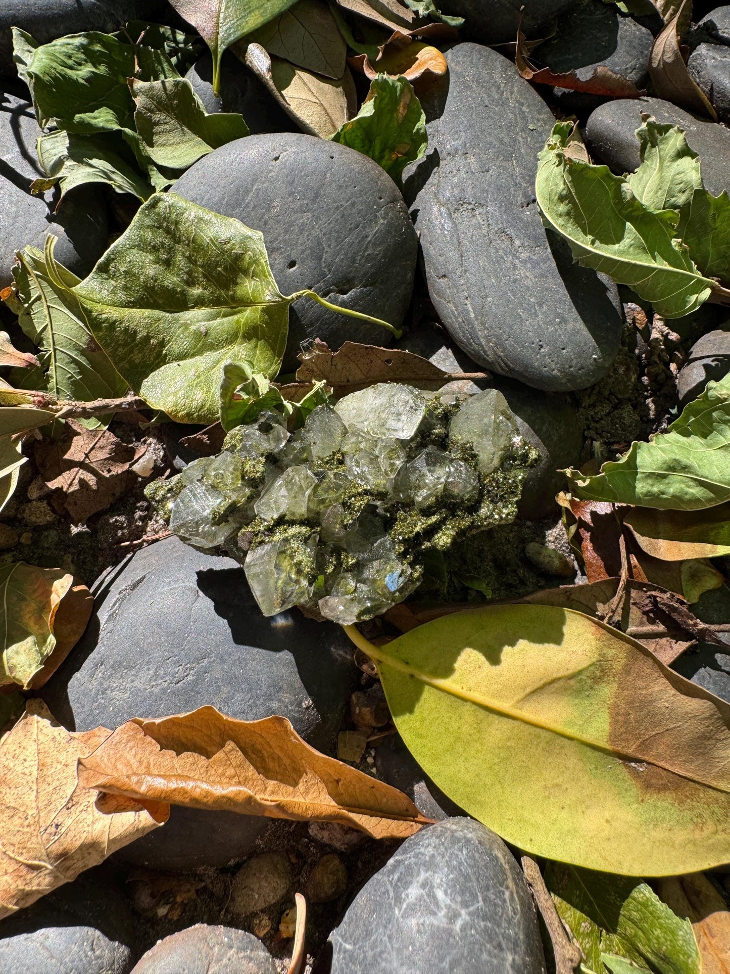 Epidote and Quartz Raw Crystal Specimen 61.7g, From Hakkari, Turkey Mineral Crystal