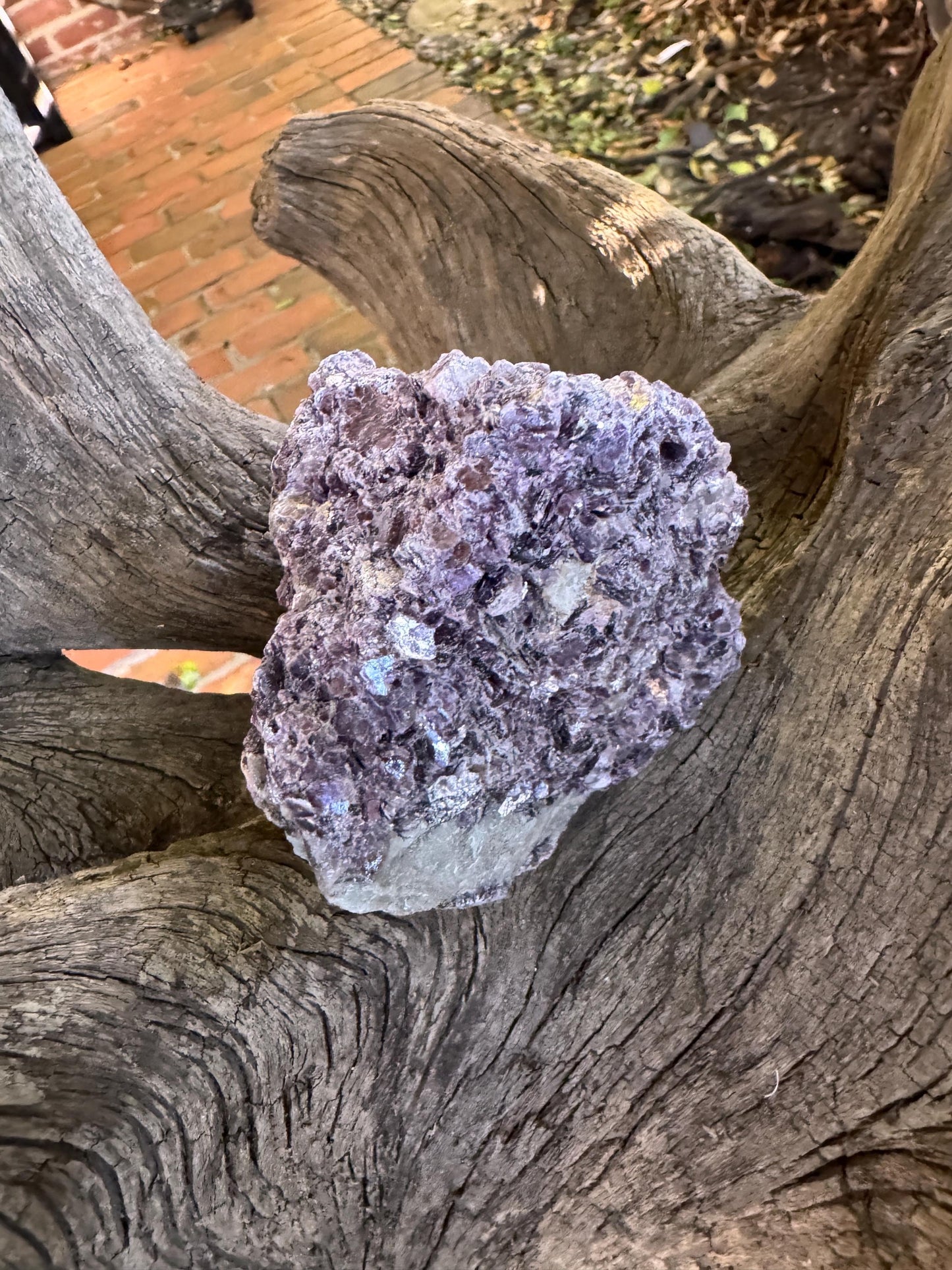 Raw Lepidolite Specimen From Minas Gerais Brazil 428g Lithium Mineral