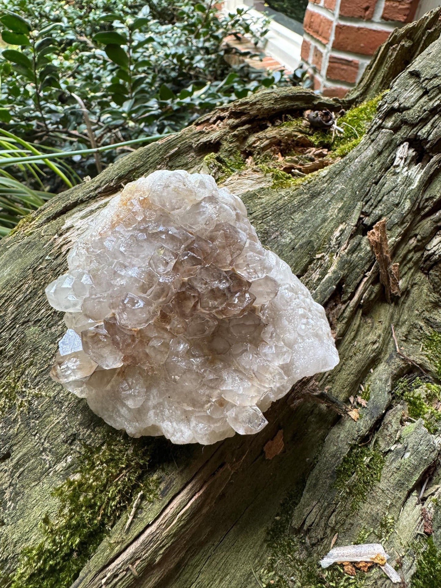 Smokey Elesital Quartz from Minas Gerais Brazil, 307.9g Specimen Mineral Crystal
