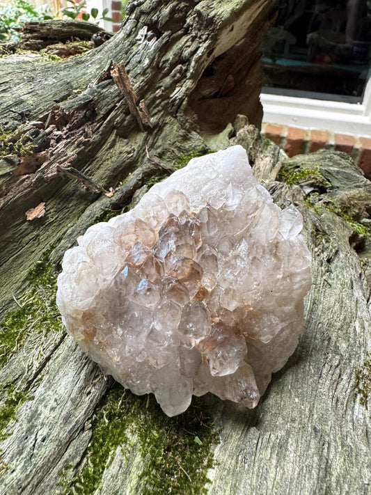Smokey Elesital Quartz from Minas Gerais Brazil, 307.9g Specimen Mineral Crystal