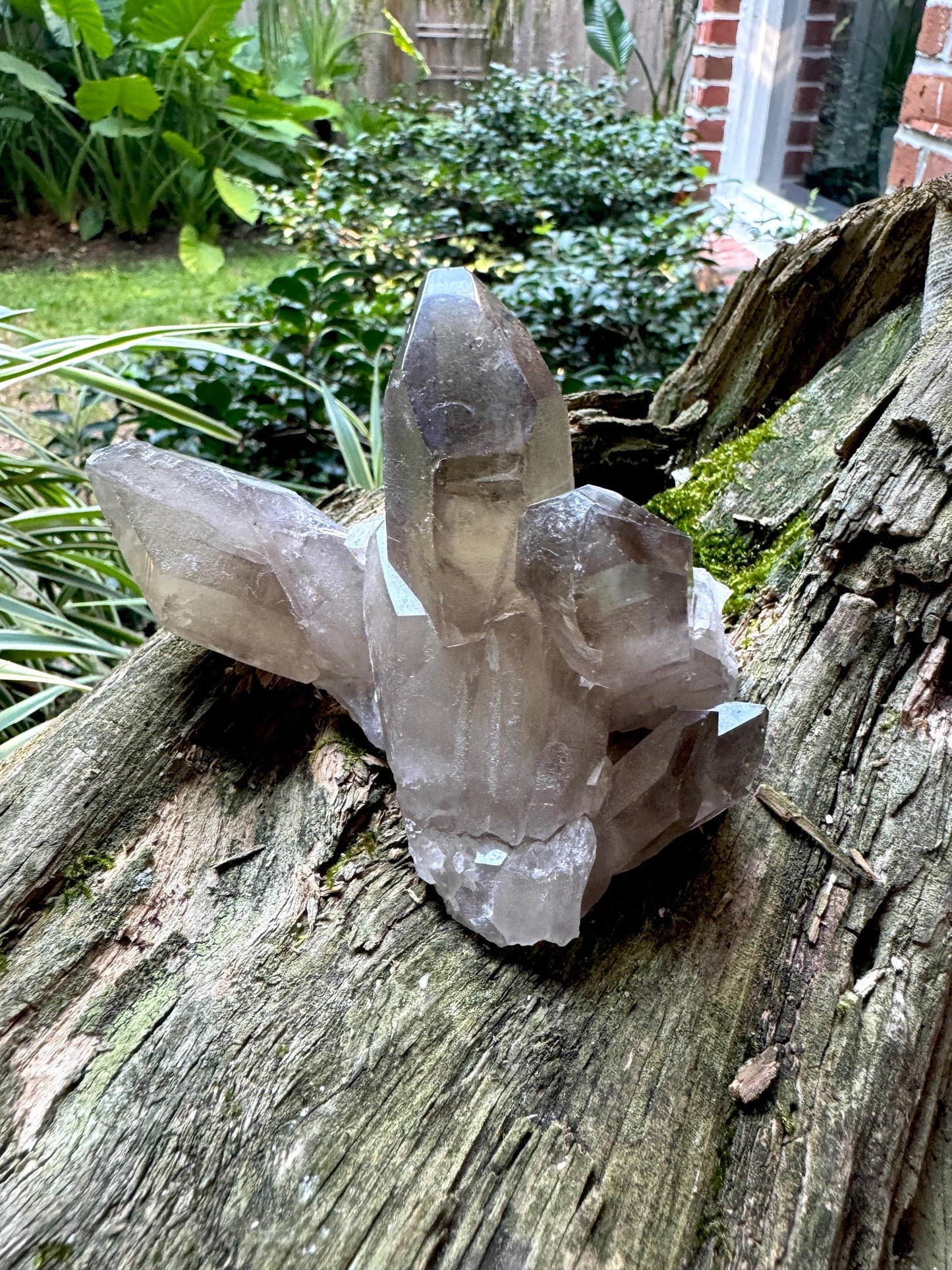 Smokey Quartz Cluster Specimen Polished Main Tip, Minas Gerias, Brazil. 282g, Specimen Mineral