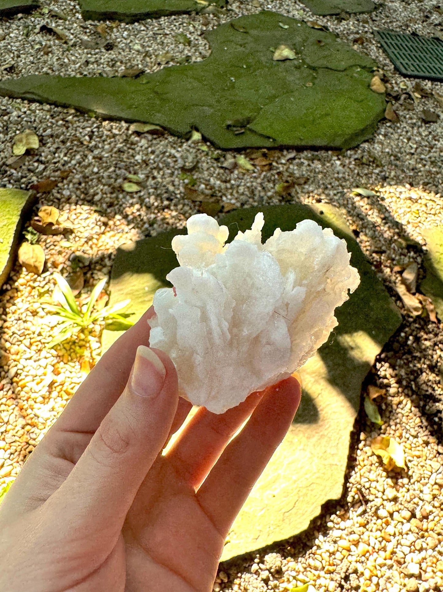 Aragonite Cave Calcite From Mexico 79.6g Specimen Crystals Minerals