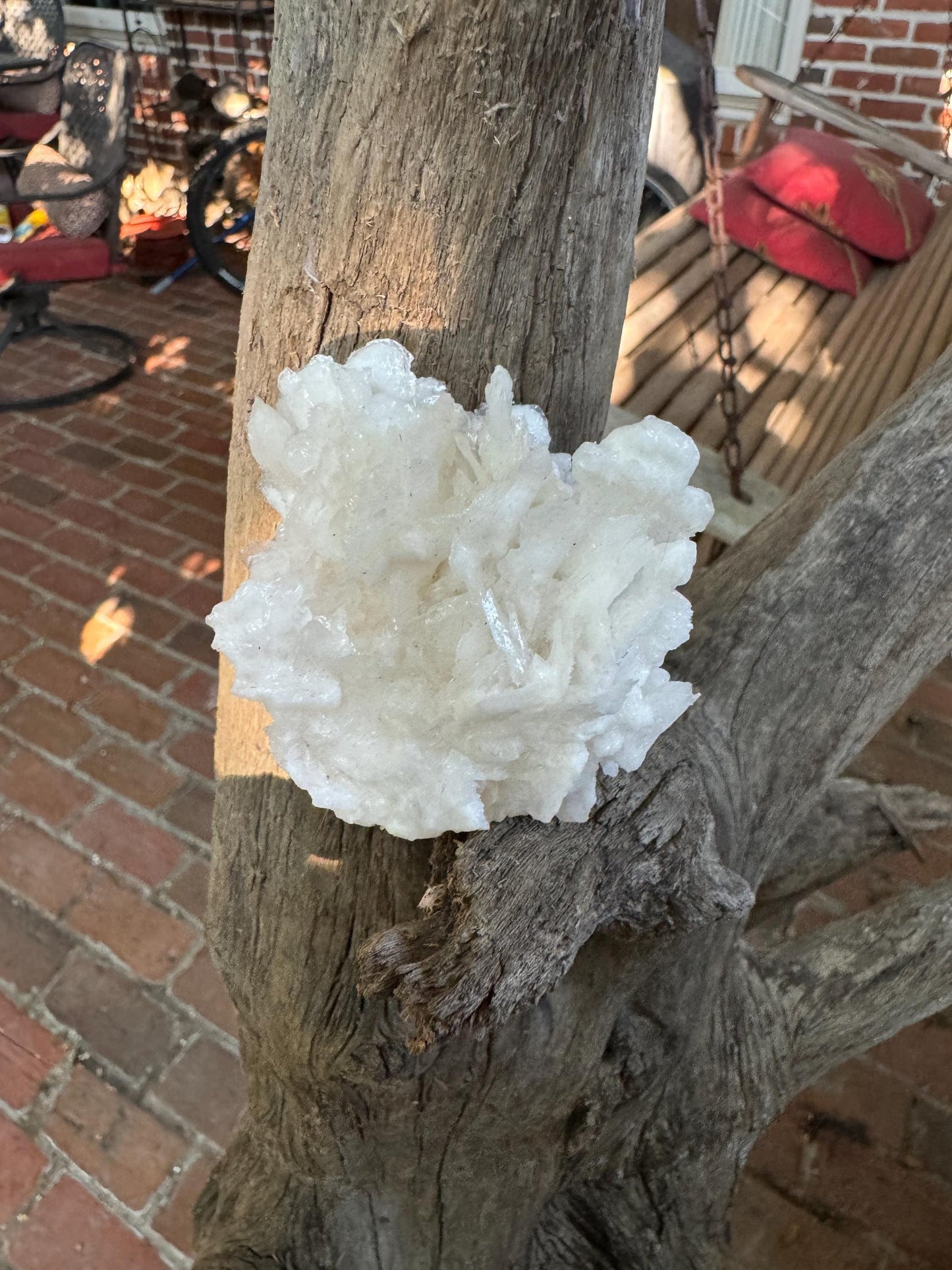 Aragonite Cave Calcite From Mexico 79.6g Specimen Crystals Minerals