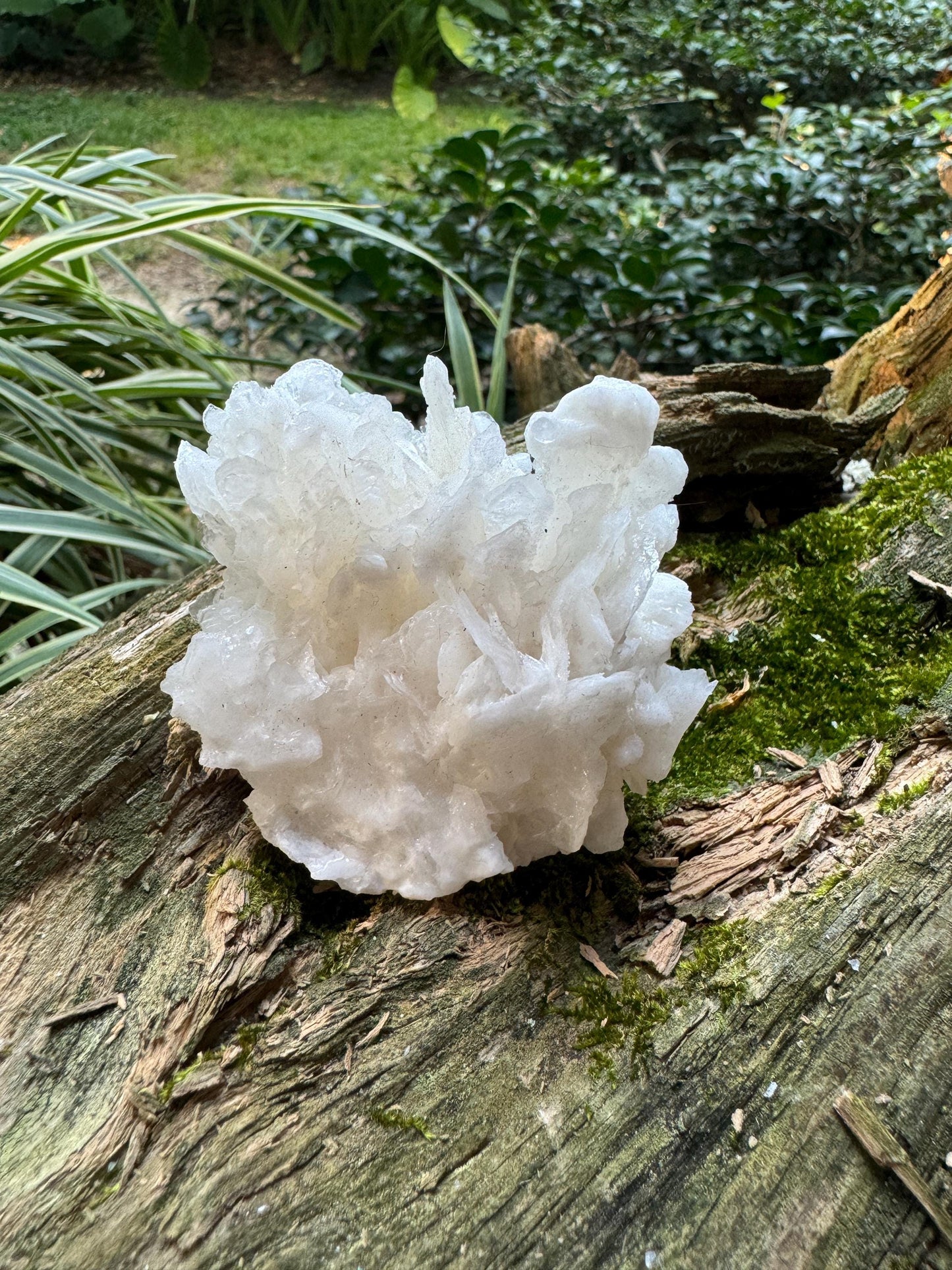 Aragonite Cave Calcite From Mexico 79.6g Specimen Crystals Minerals
