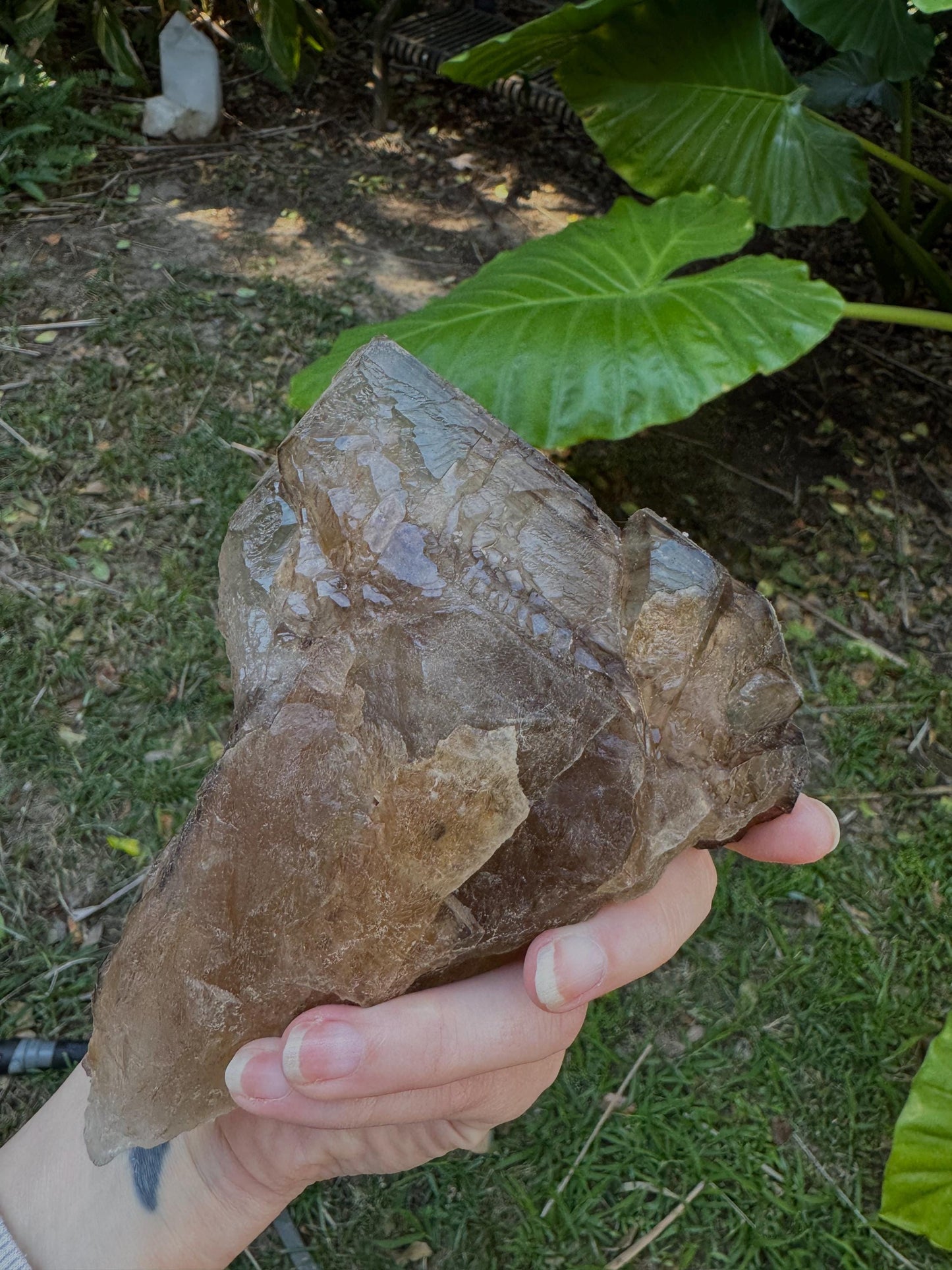 Smokey Elesital Quartz With 892g 1lb 15.5oz from Minas Gerais Brazil