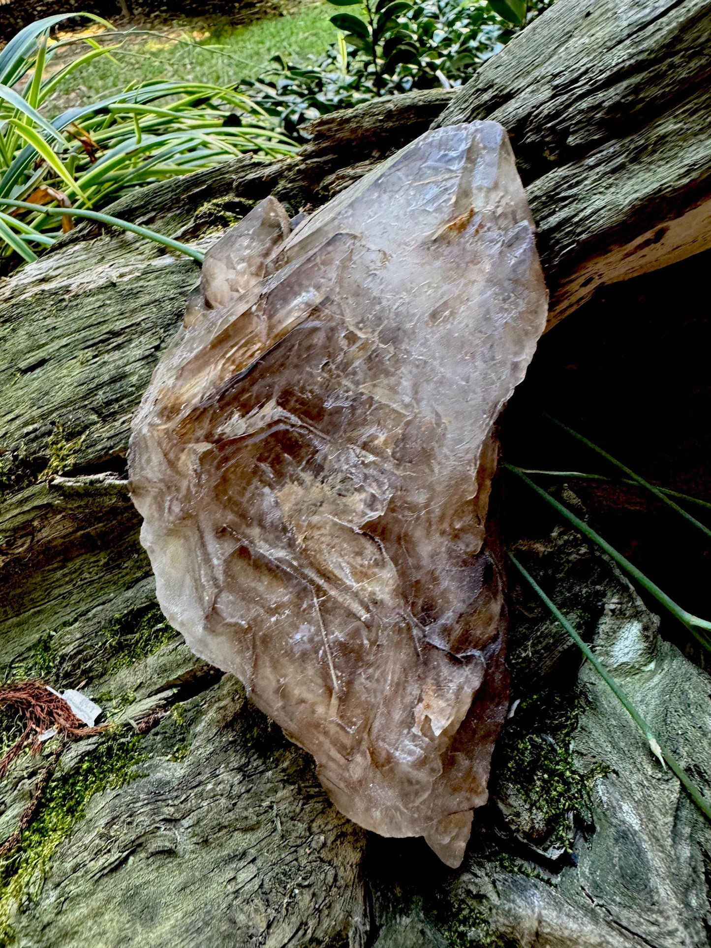 Smokey Elesital Quartz With 892g 1lb 15.5oz from Minas Gerais Brazil