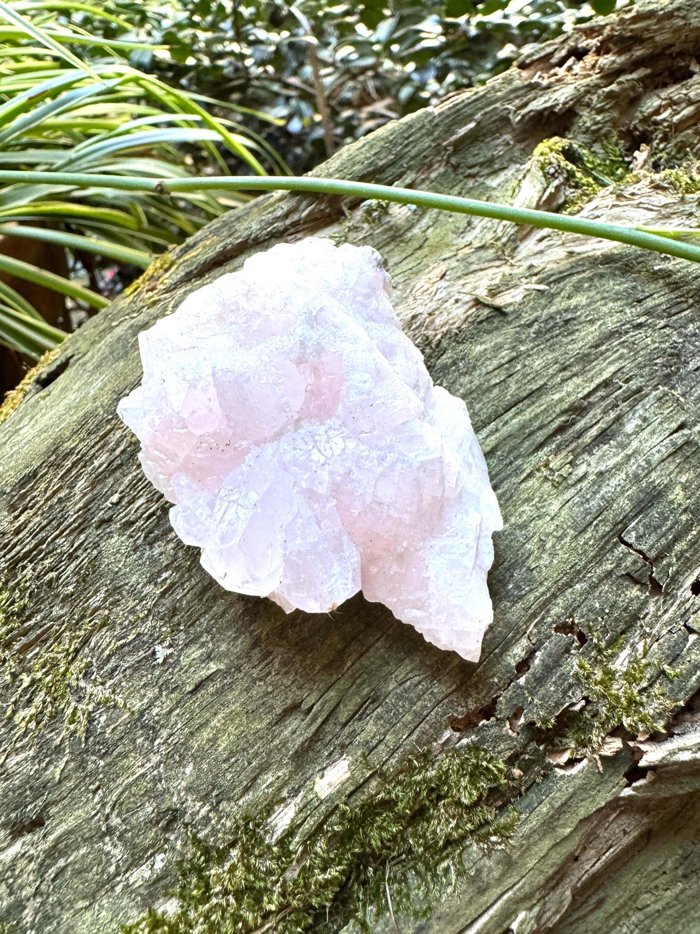 Mangano Calcite Specimen from Androvo Mine, Erma Reka, Zlatograd, Smolyan Province, Bulgaria  86.4g Mineral Crystal