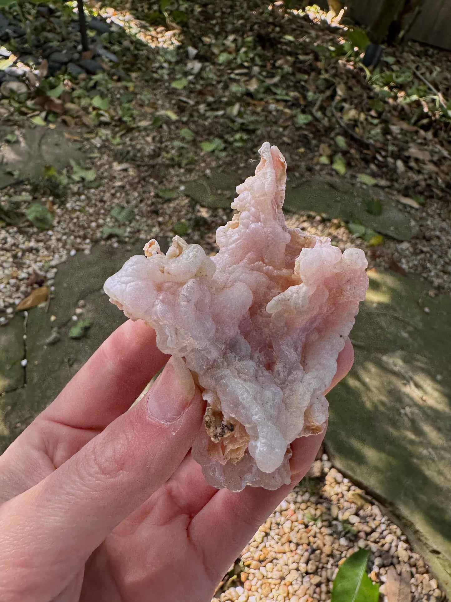 Pink Opal Specimen: Botryoidal Crystal from Ica, Peru 83.2g