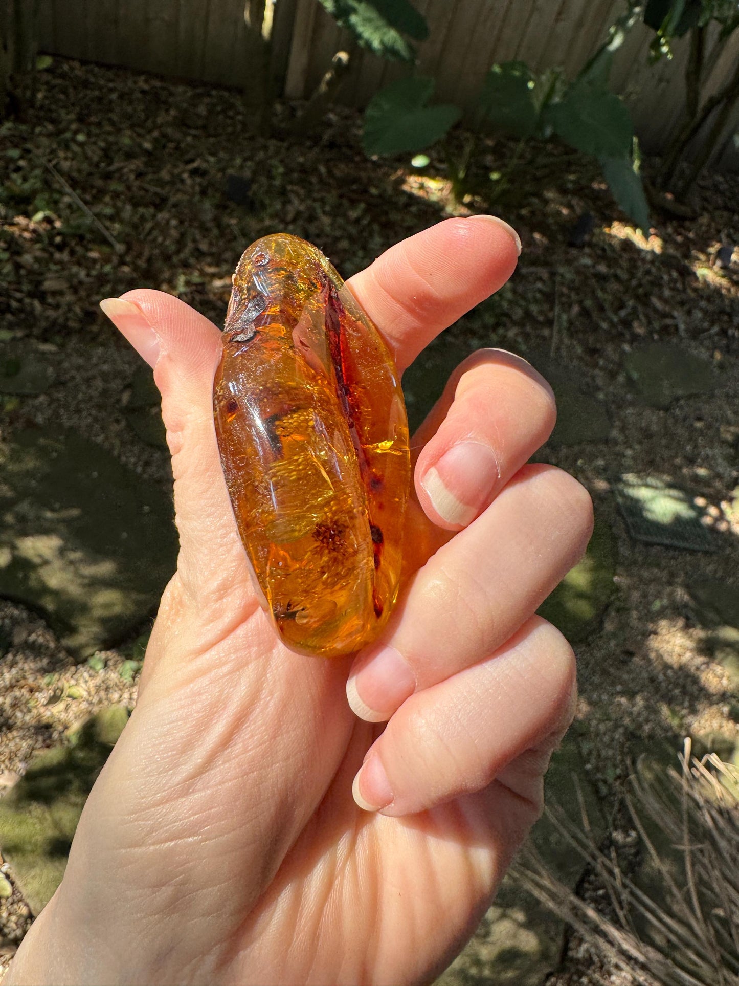 Polished Mexican Blue Amber Specimen from Chiapas Mexico 33.4g Mineral Crystal Fossil