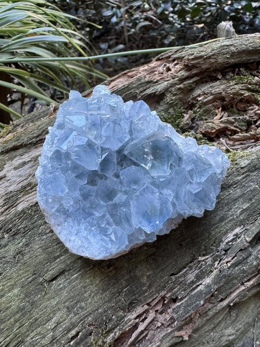 Sparkly Blue Celestine/Celestite Geode 340g Specimen, Madagascar