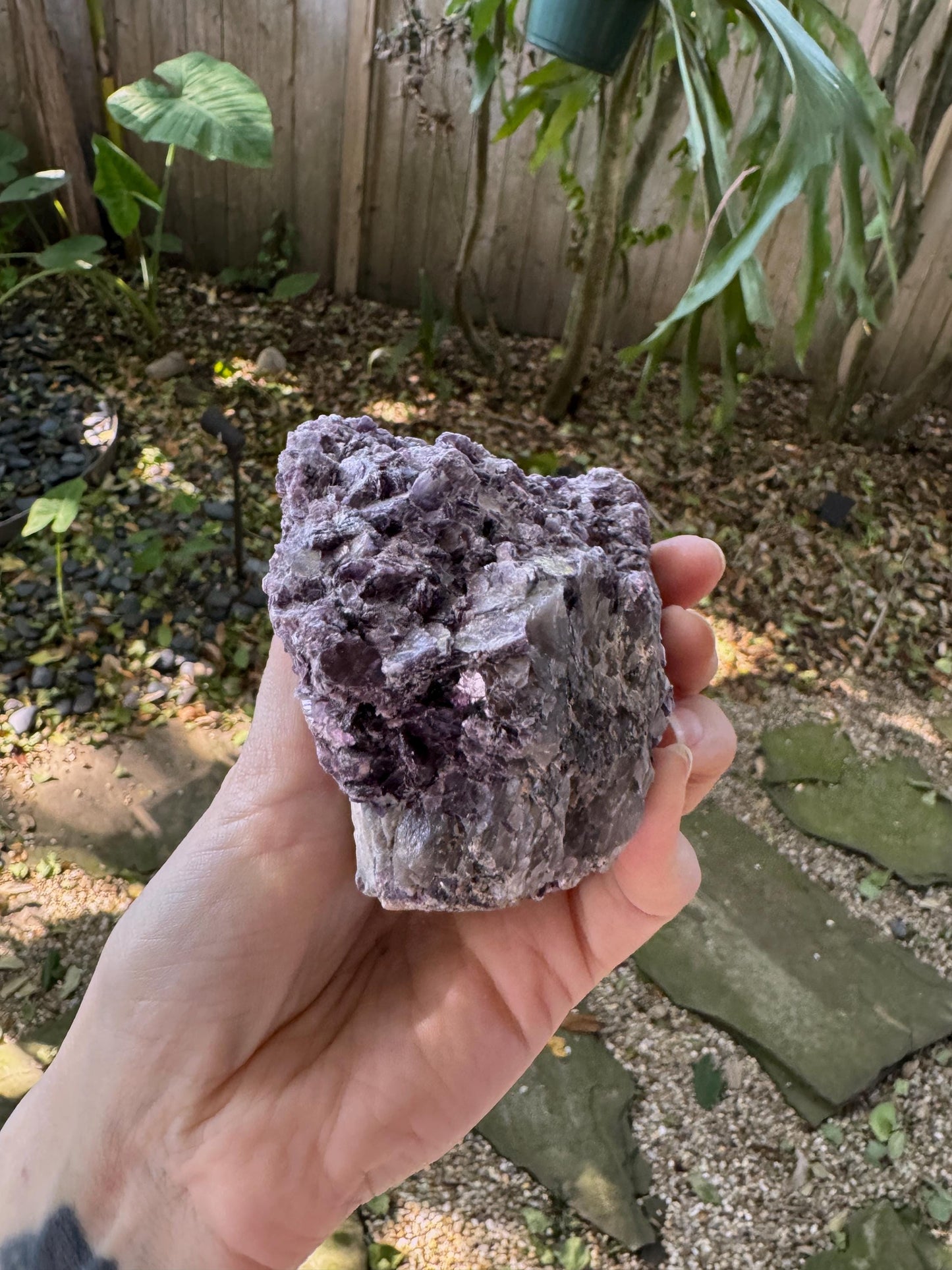 Raw Lepidolite Specimen From Minas Gerais Brazil 428g Lithium Mineral