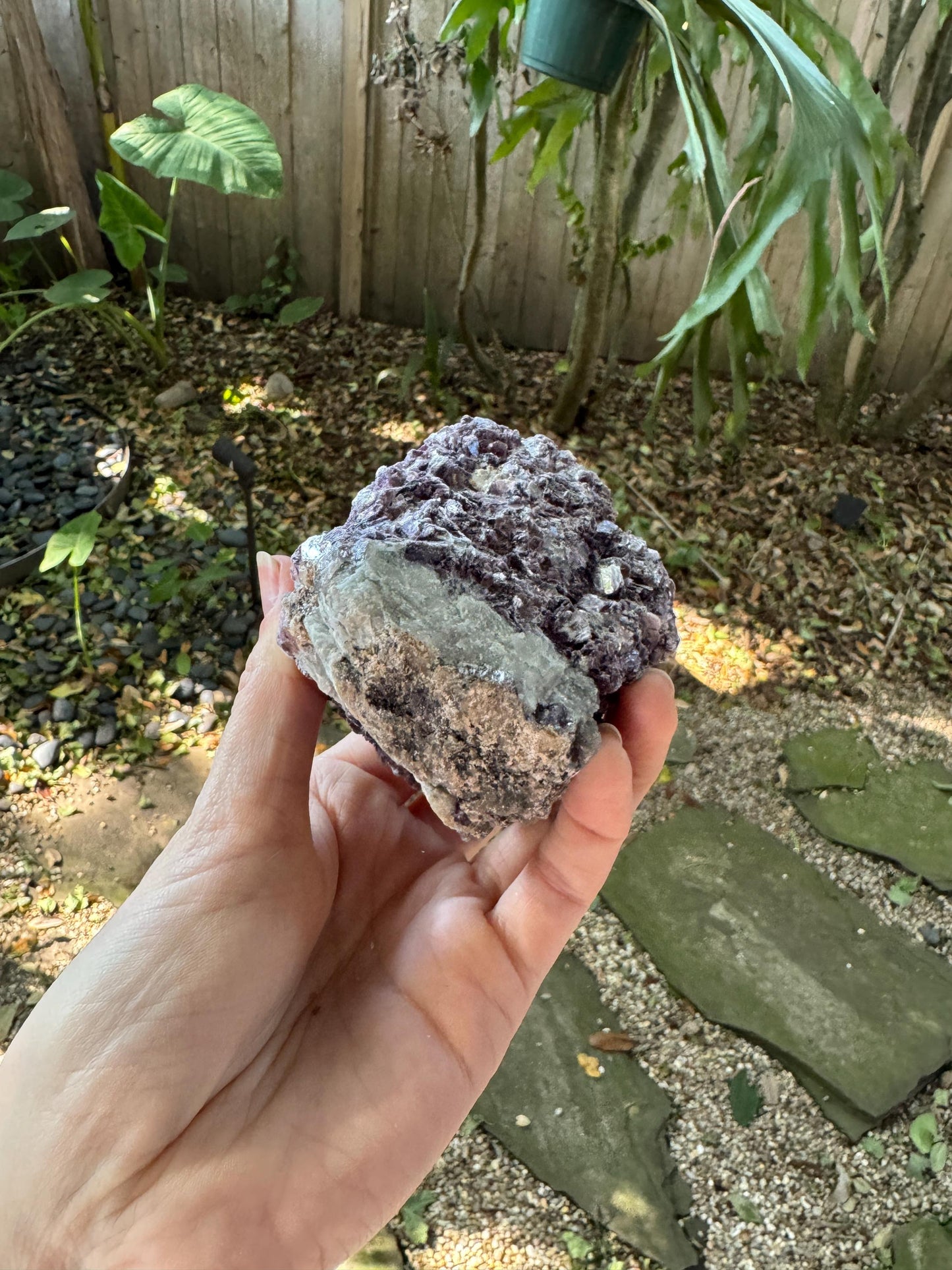 Raw Lepidolite Specimen From Minas Gerais Brazil 428g Lithium Mineral