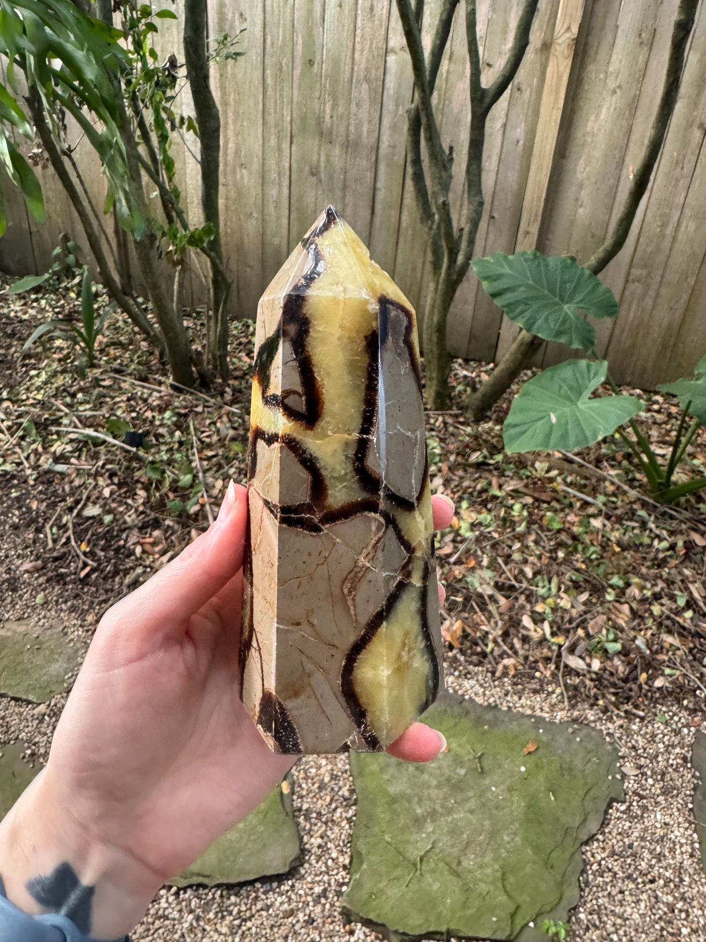 Polished Septarian Calcite Tower Madagascar 824g Specimen Mineral Crystal