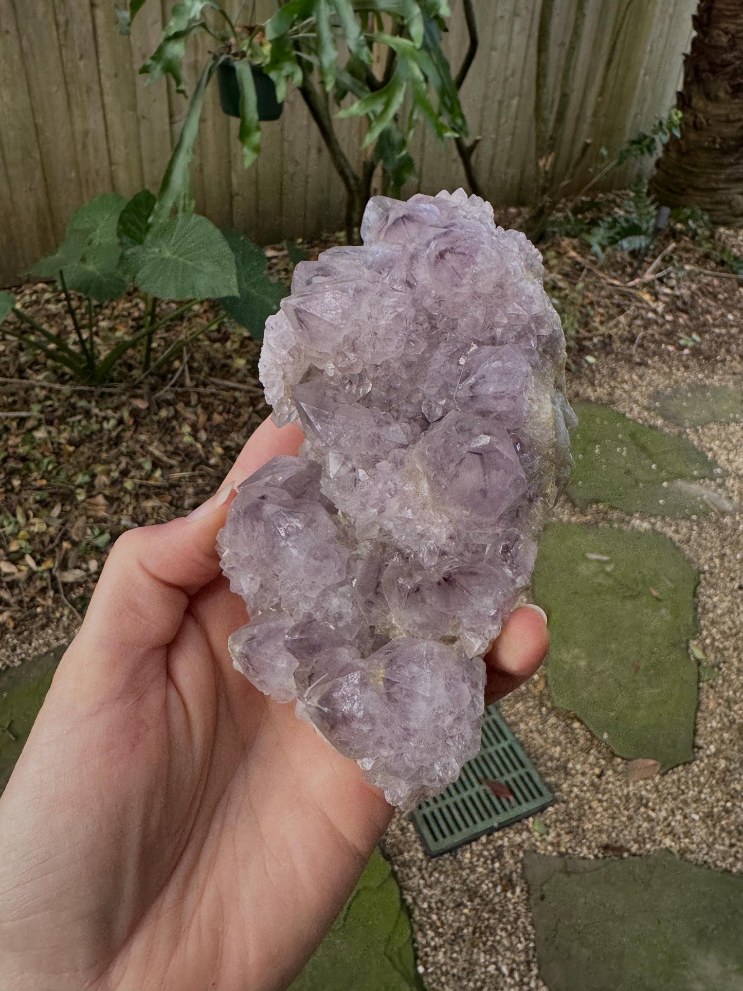 Amethyst Spirit Quartz Point cluster 449g From Mpumalanga South Africa