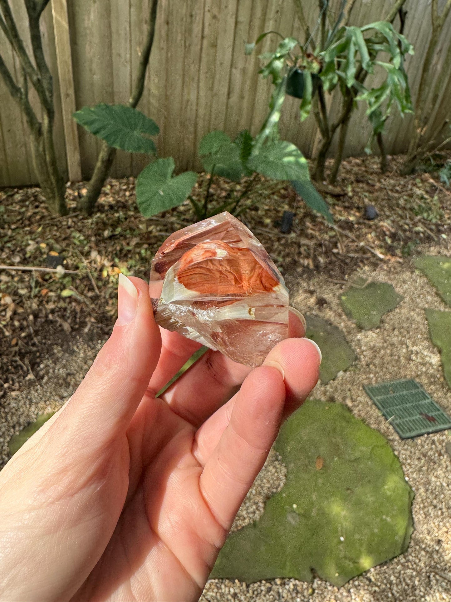 Rare Amphibole/Angel Phantom Quartz polished specimen 50.9g Crystal Mineral