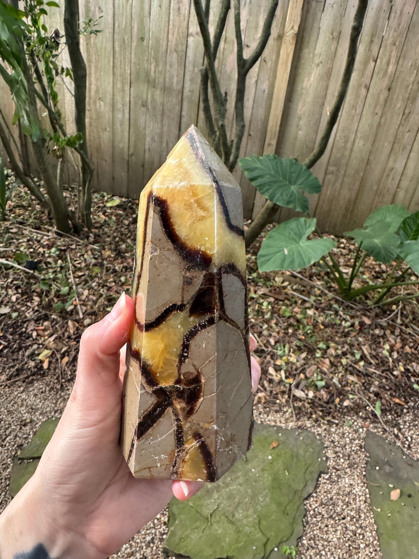 Polished Septarian Calcite Tower Madagascar 824g Specimen Mineral Crystal