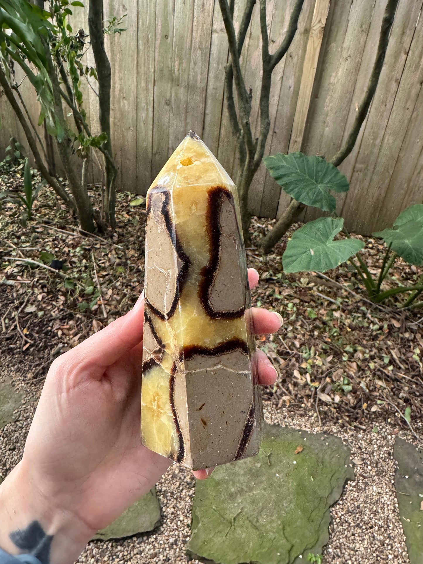 Polished Septarian Calcite Tower Madagascar 824g Specimen Mineral Crystal