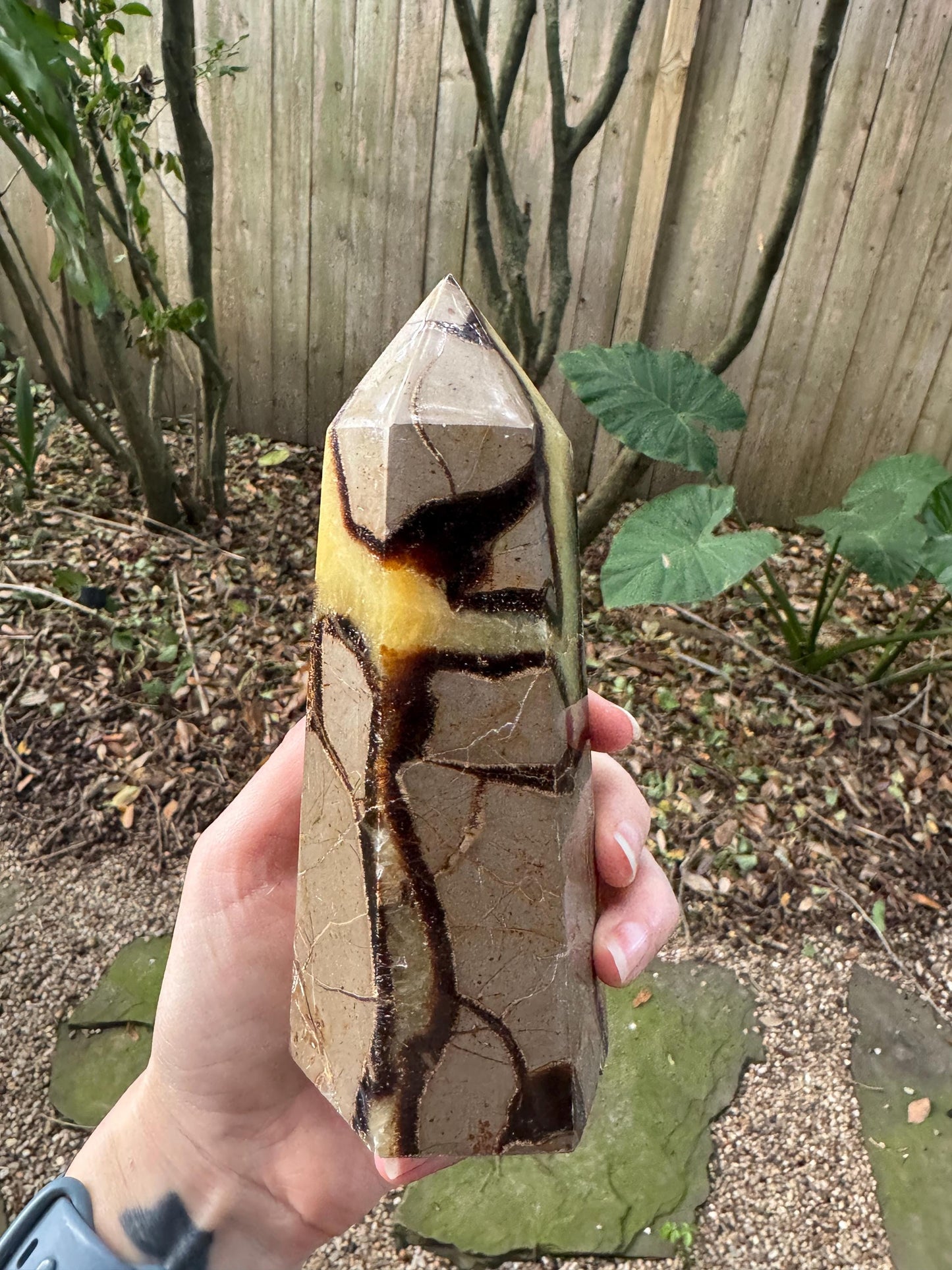Polished Septarian Calcite Tower Madagascar 824g Specimen Mineral Crystal