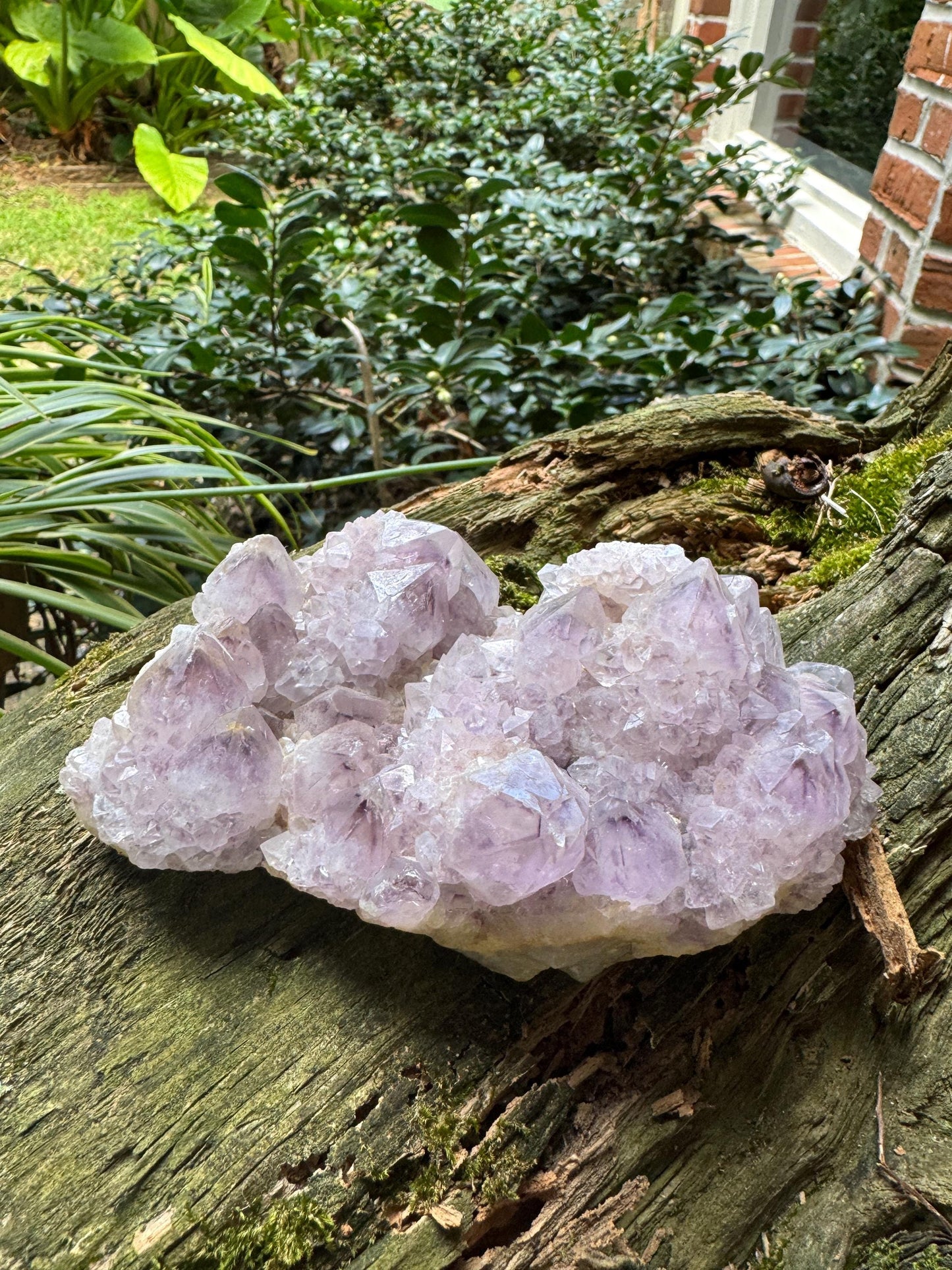 Amethyst Spirit Quartz Point cluster 449g From Mpumalanga South Africa