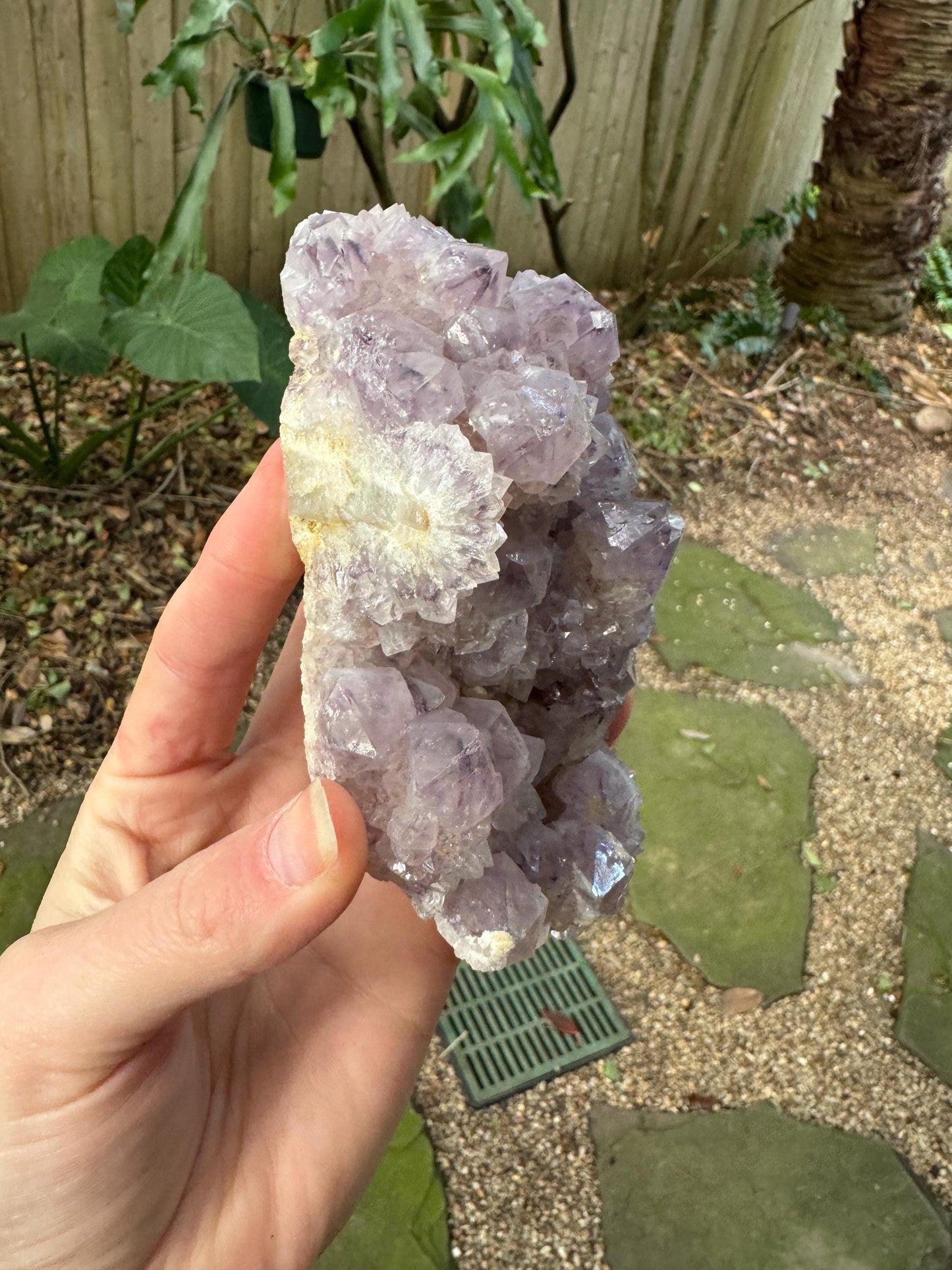 Amethyst Spirit Quartz Point cluster 449g From Mpumalanga South Africa