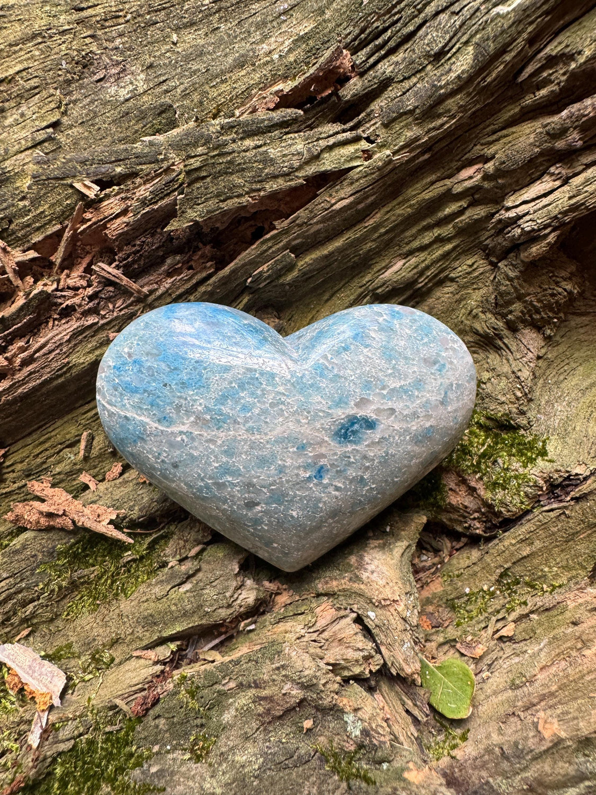 Polished Hearts