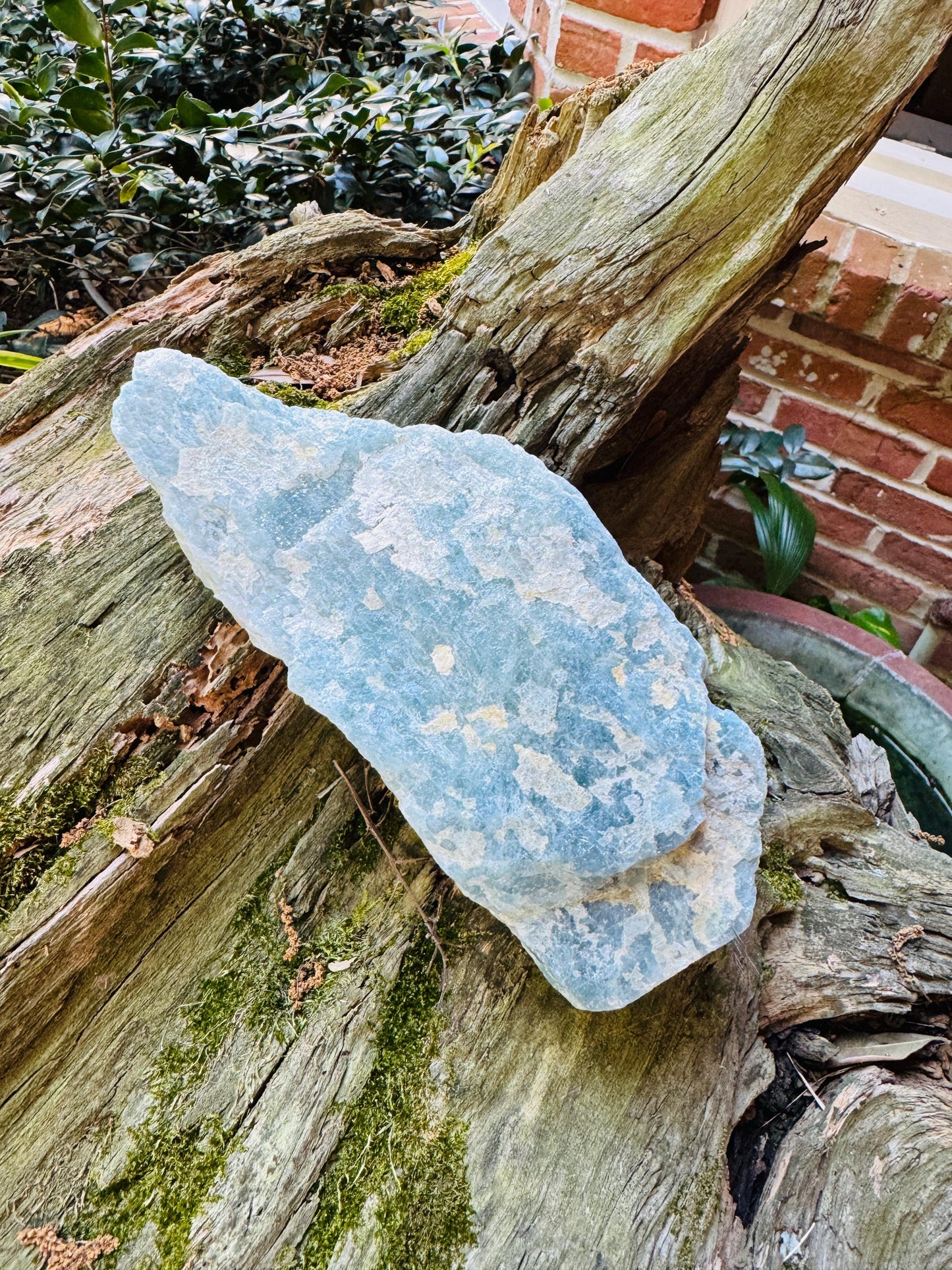 Aquamarine/Beryl Crystal from Minas Gerais Brazil 1698g 3lbs 12oz Specimen Mineral Crystal