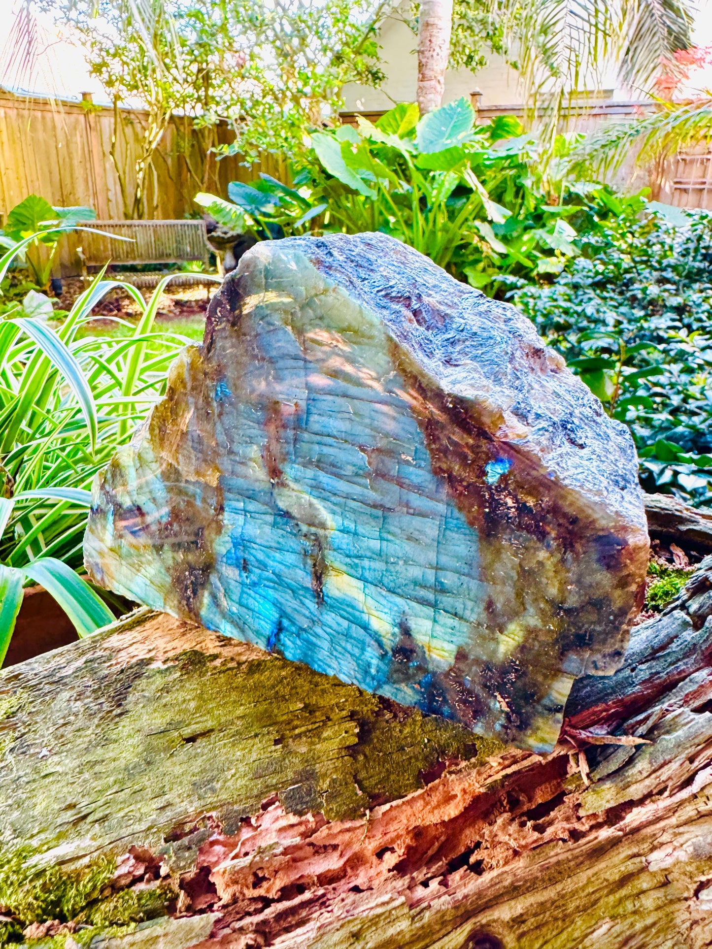 Half Polished Polished Rainbow Labradorite Free Form 1870g 4lbs 2oz From Madagascar