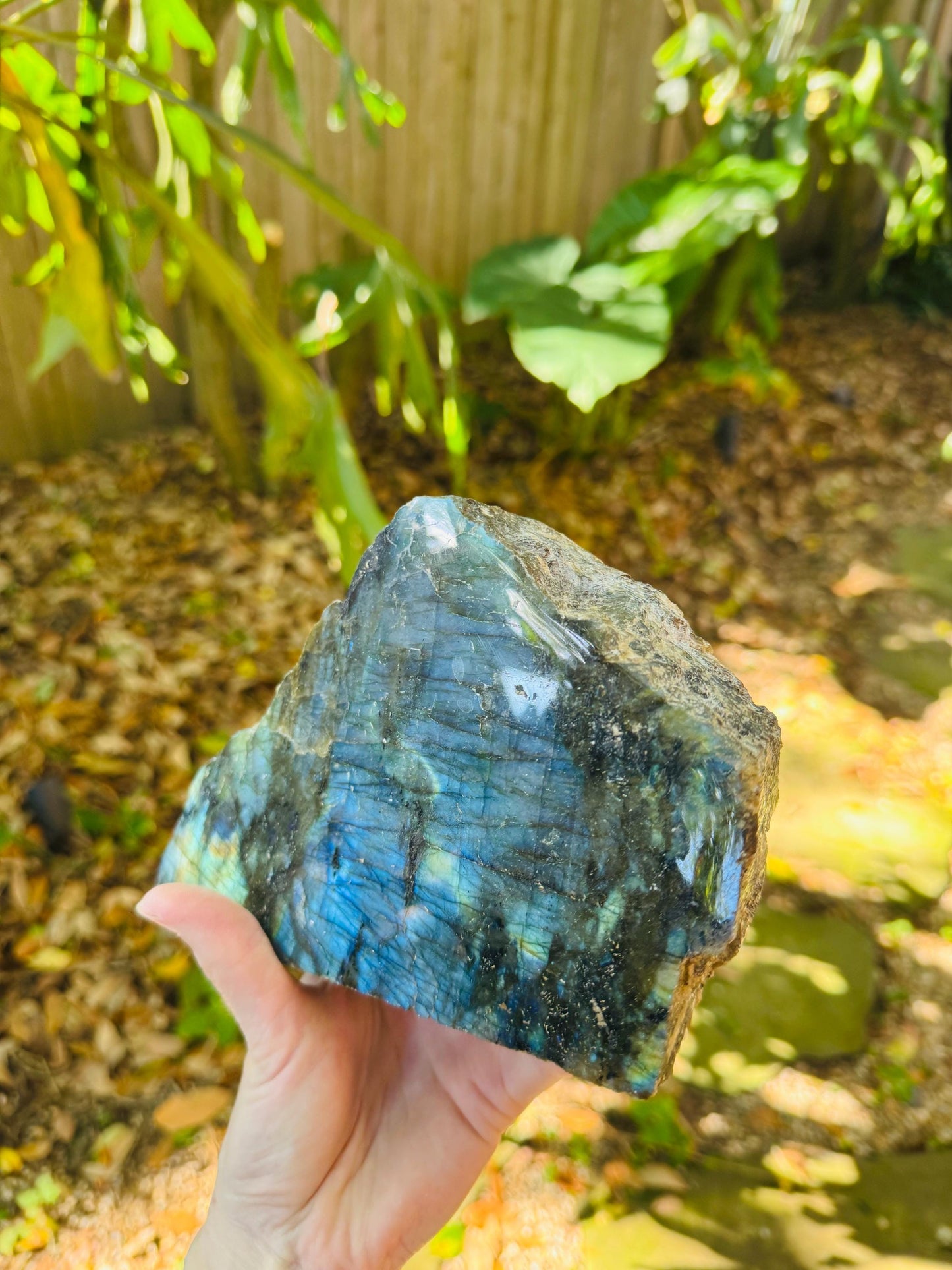 Half Polished Polished Rainbow Labradorite Free Form 1870g 4lbs 2oz From Madagascar