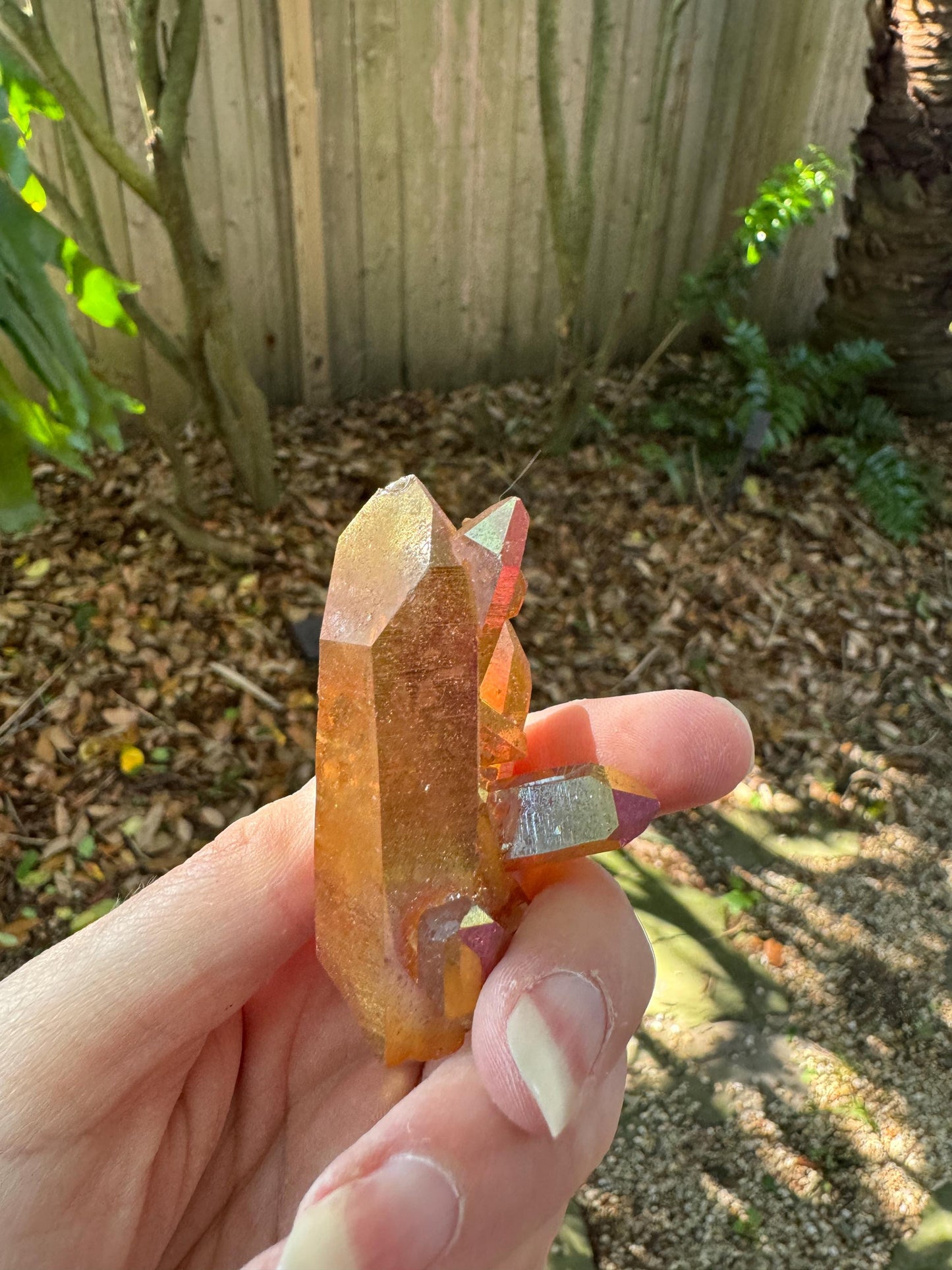 Citrus Blossom Aura Quartz Cluster from Arkansas 44.8g Specimen