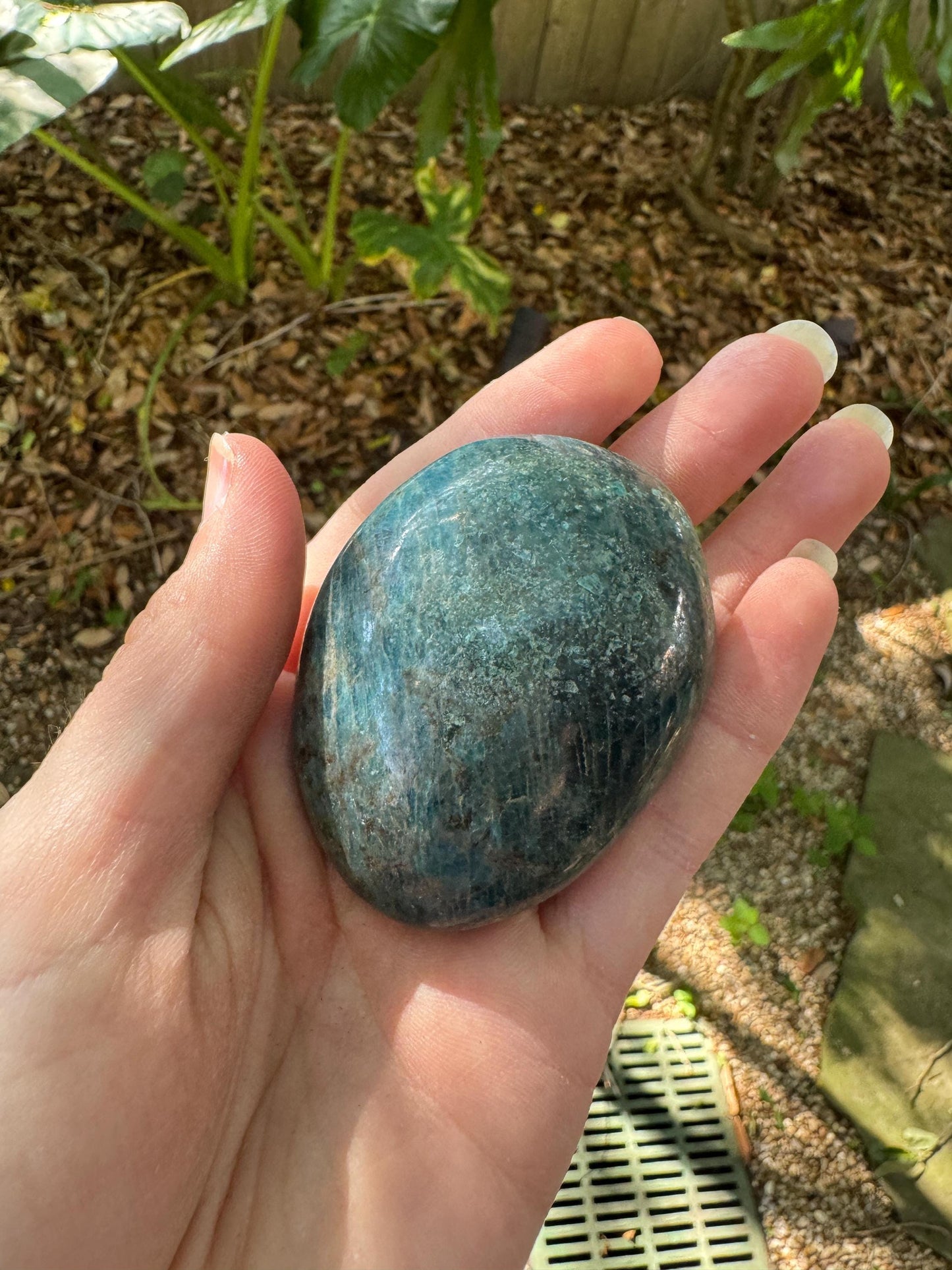 Blue/Green Apatite Palm Stone from Madagascar 116g Specimen Mineral Crystal