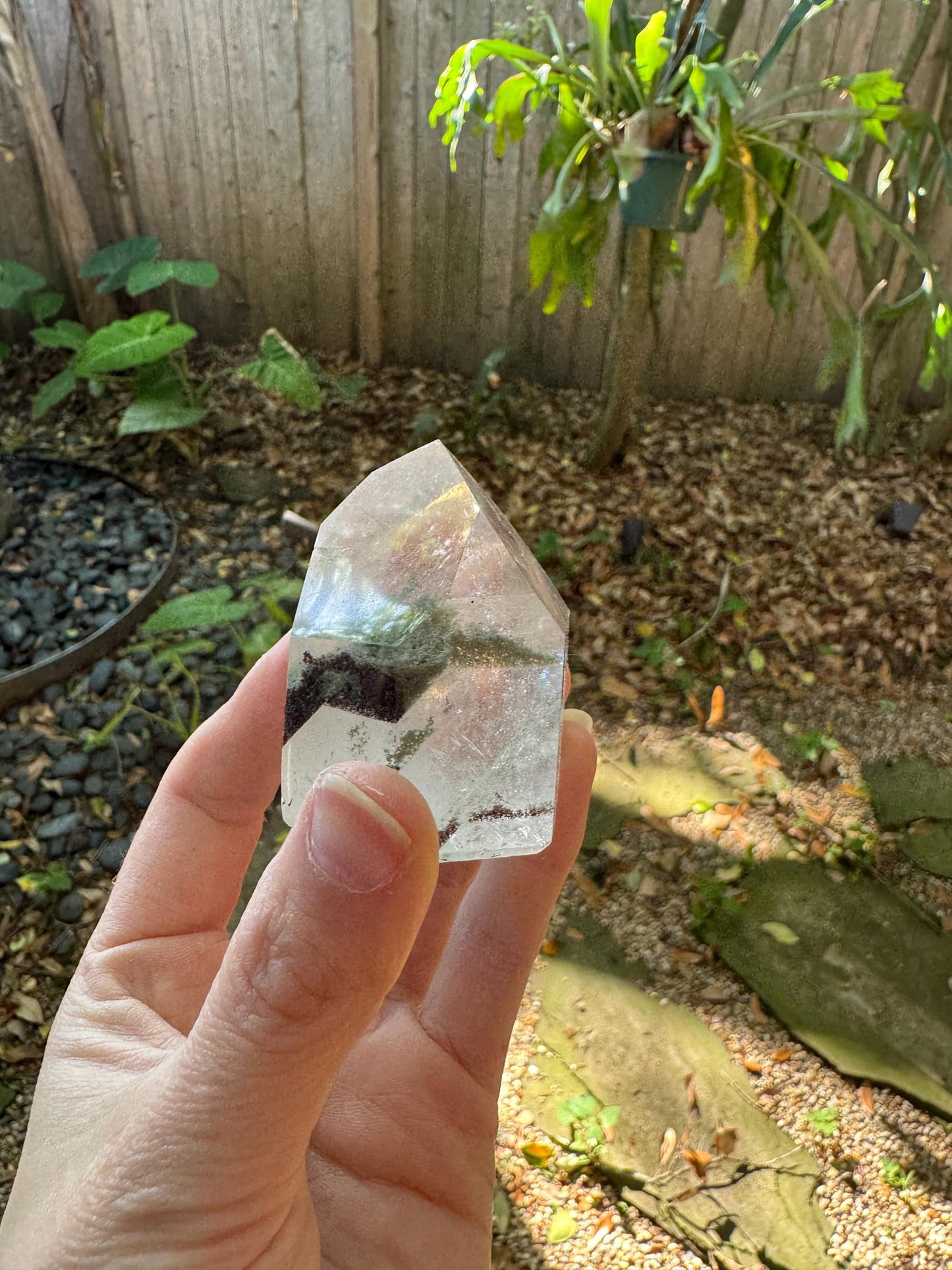 Polished Garden/Senic Quartz Point Specimen With Chlorite 183.3g