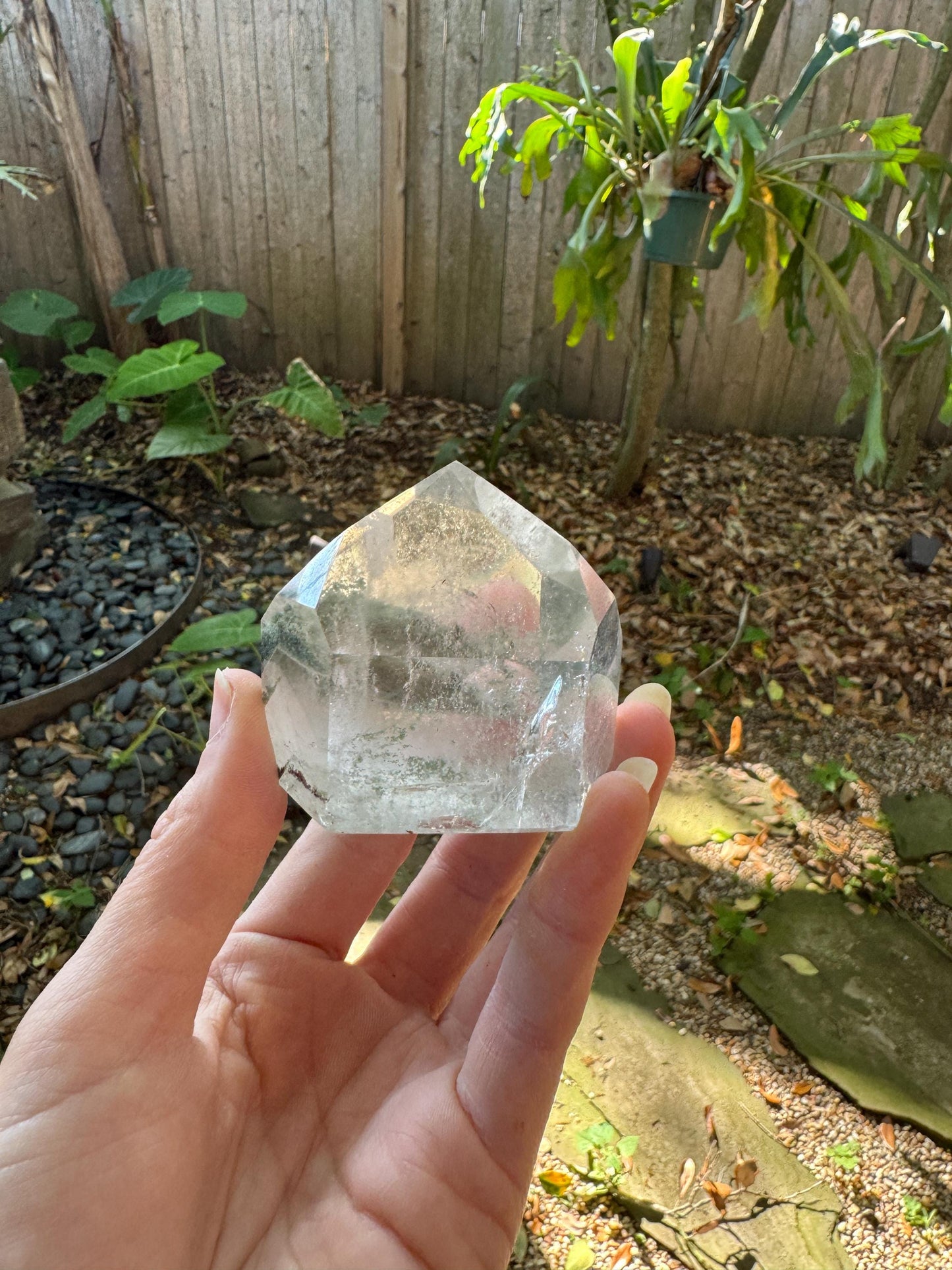 Polished Garden/Senic Quartz Point Specimen With Chlorite 183.3g