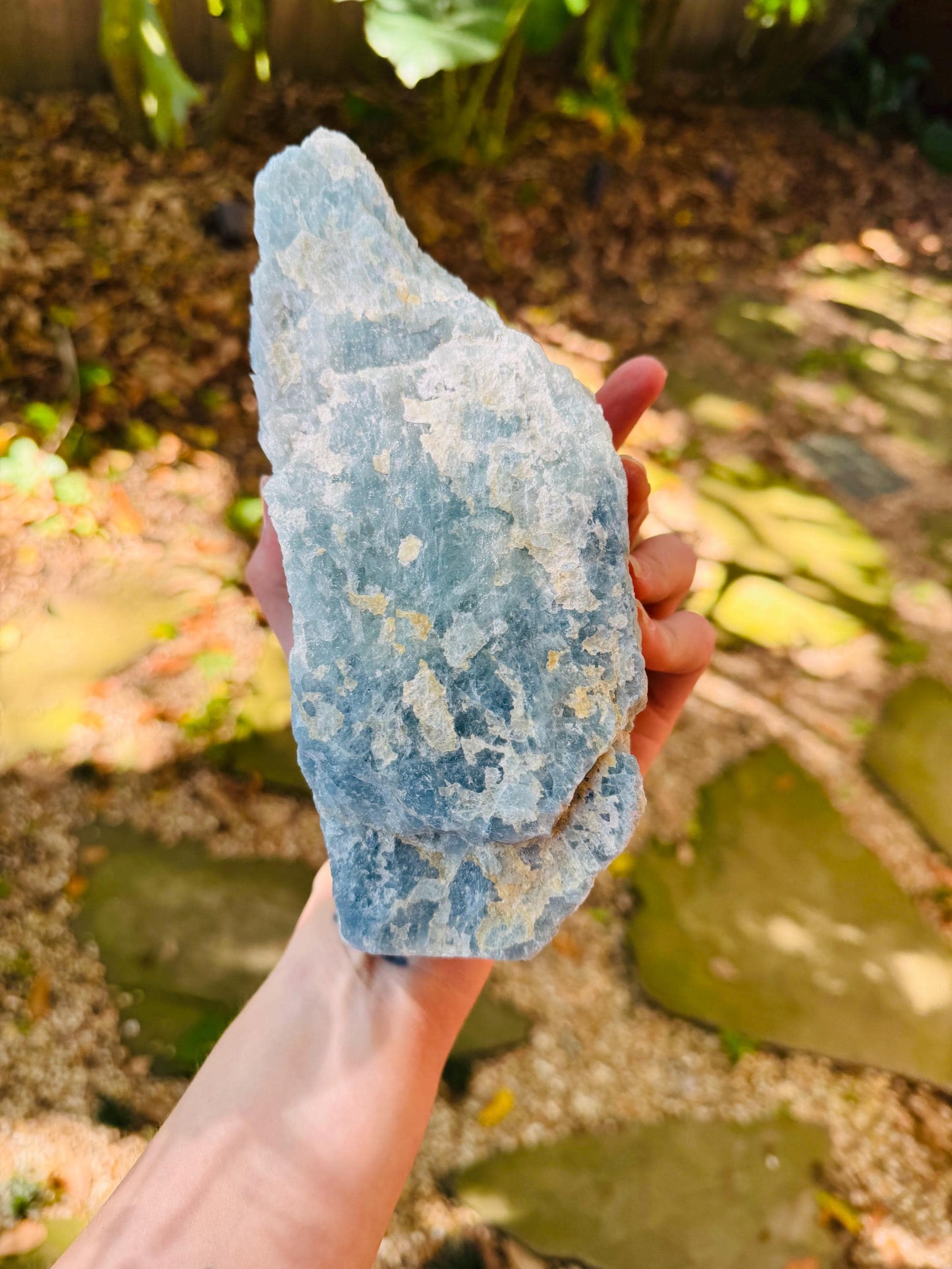Aquamarine/Beryl Crystal from Minas Gerais Brazil 1698g 3lbs 12oz Specimen Mineral Crystal