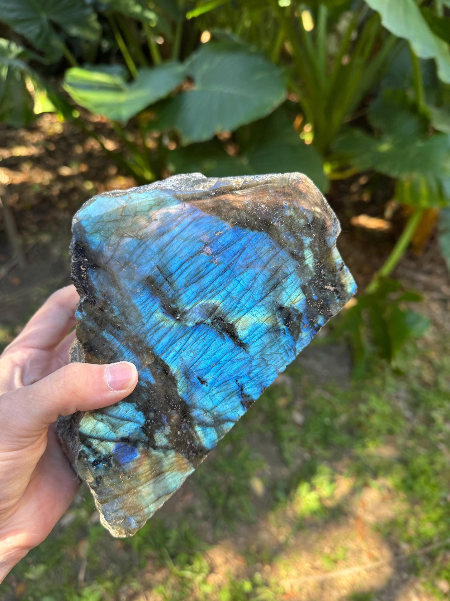 Half Polished Polished Rainbow Labradorite Free Form 1870g 4lbs 2oz From Madagascar