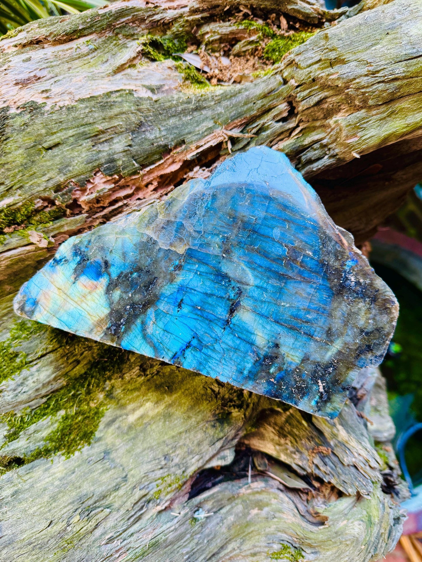 Half Polished Polished Rainbow Labradorite Free Form 1870g 4lbs 2oz From Madagascar