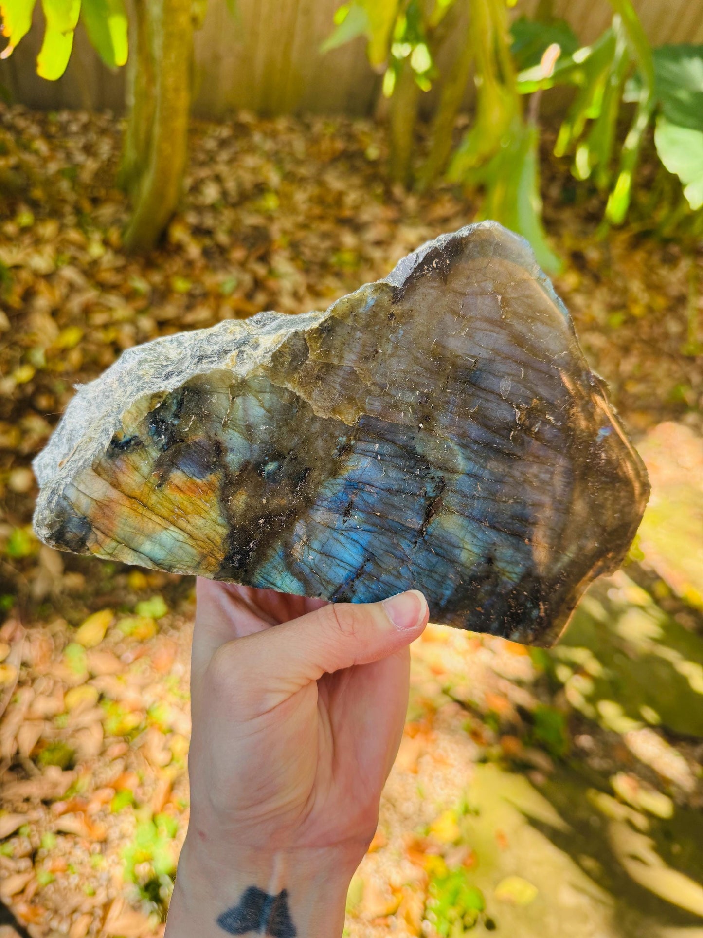 Half Polished Polished Rainbow Labradorite Free Form 1870g 4lbs 2oz From Madagascar