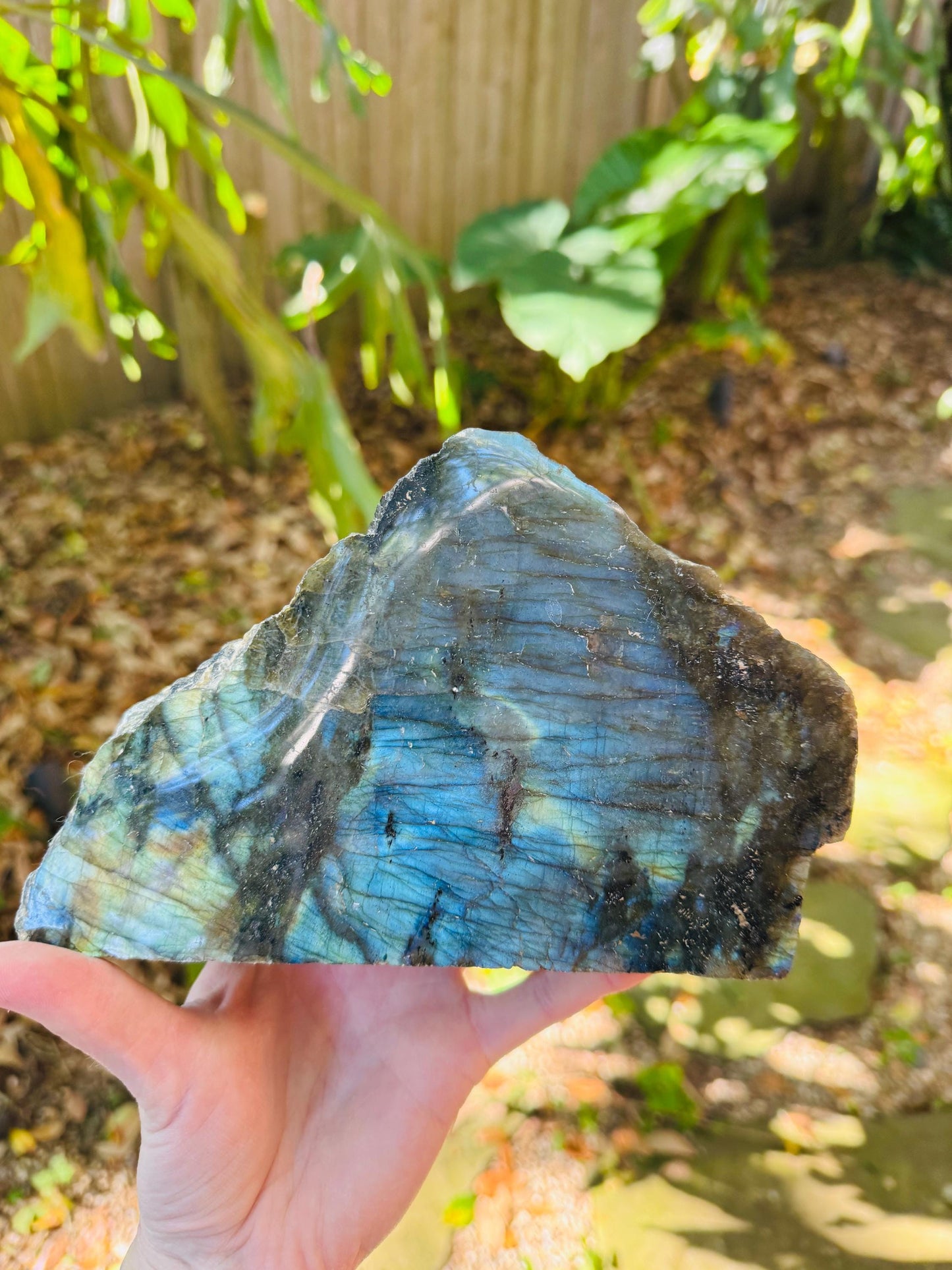 Half Polished Polished Rainbow Labradorite Free Form 1870g 4lbs 2oz From Madagascar