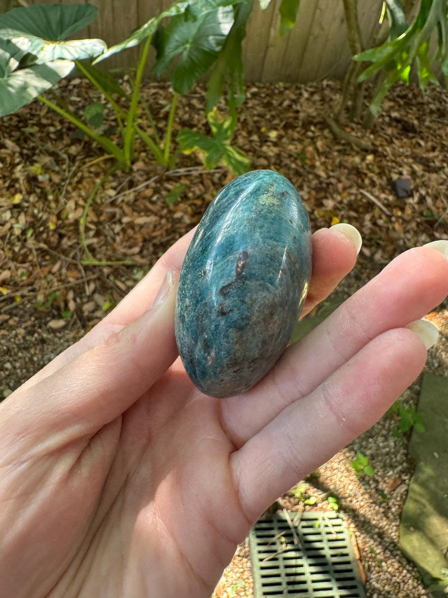 Blue/Green Apatite Palm Stone from Madagascar 116g Specimen Mineral Crystal