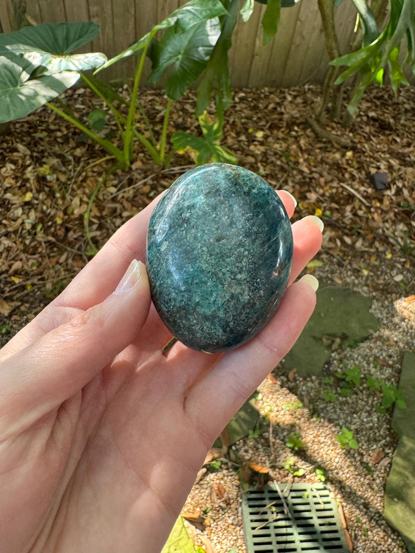 Blue/Green Apatite Palm Stone from Madagascar 116g Specimen Mineral Crystal
